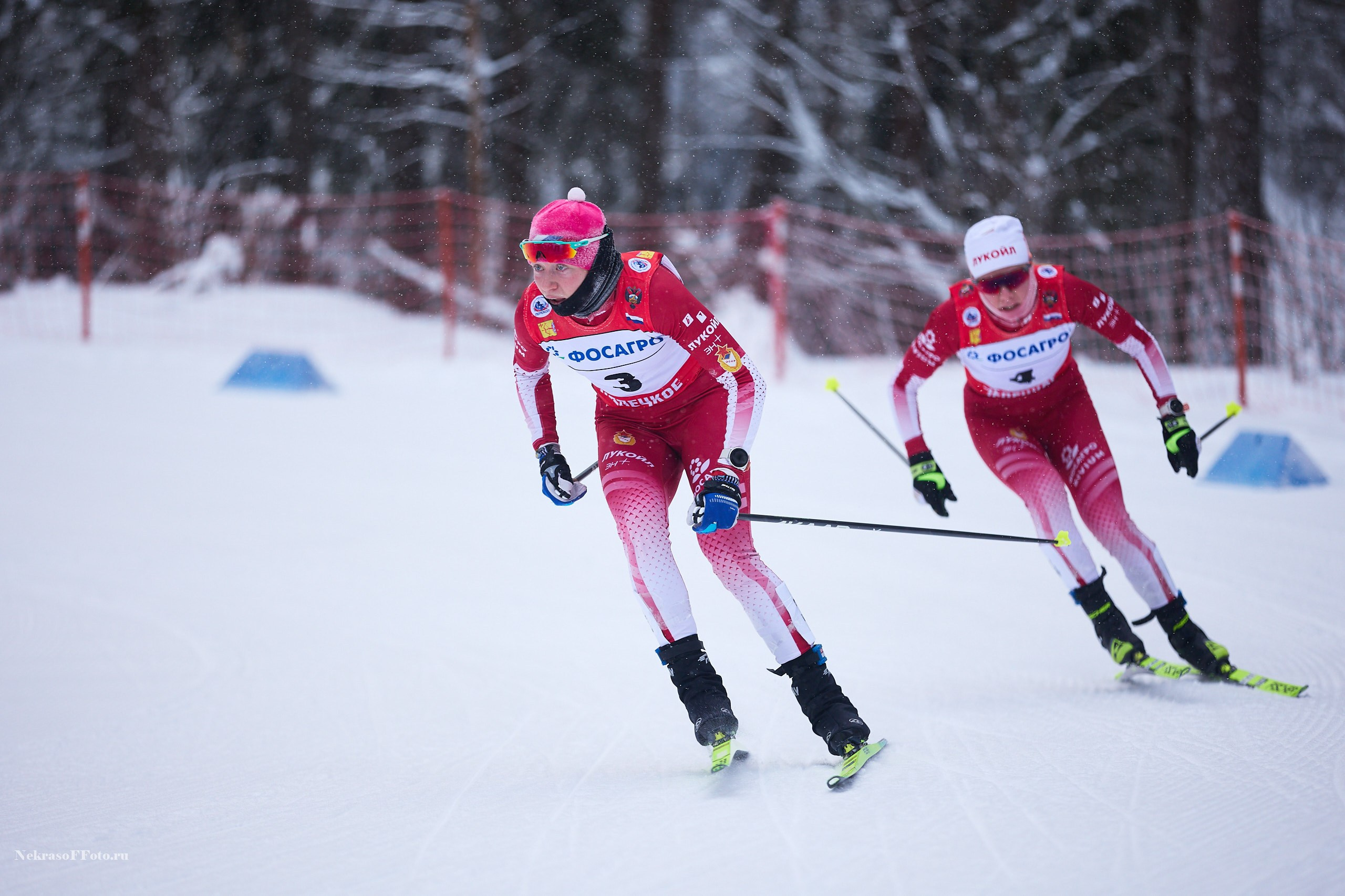 Кубок России по Лыжным гонкам. Спортивный фотограф Некрасов Денис