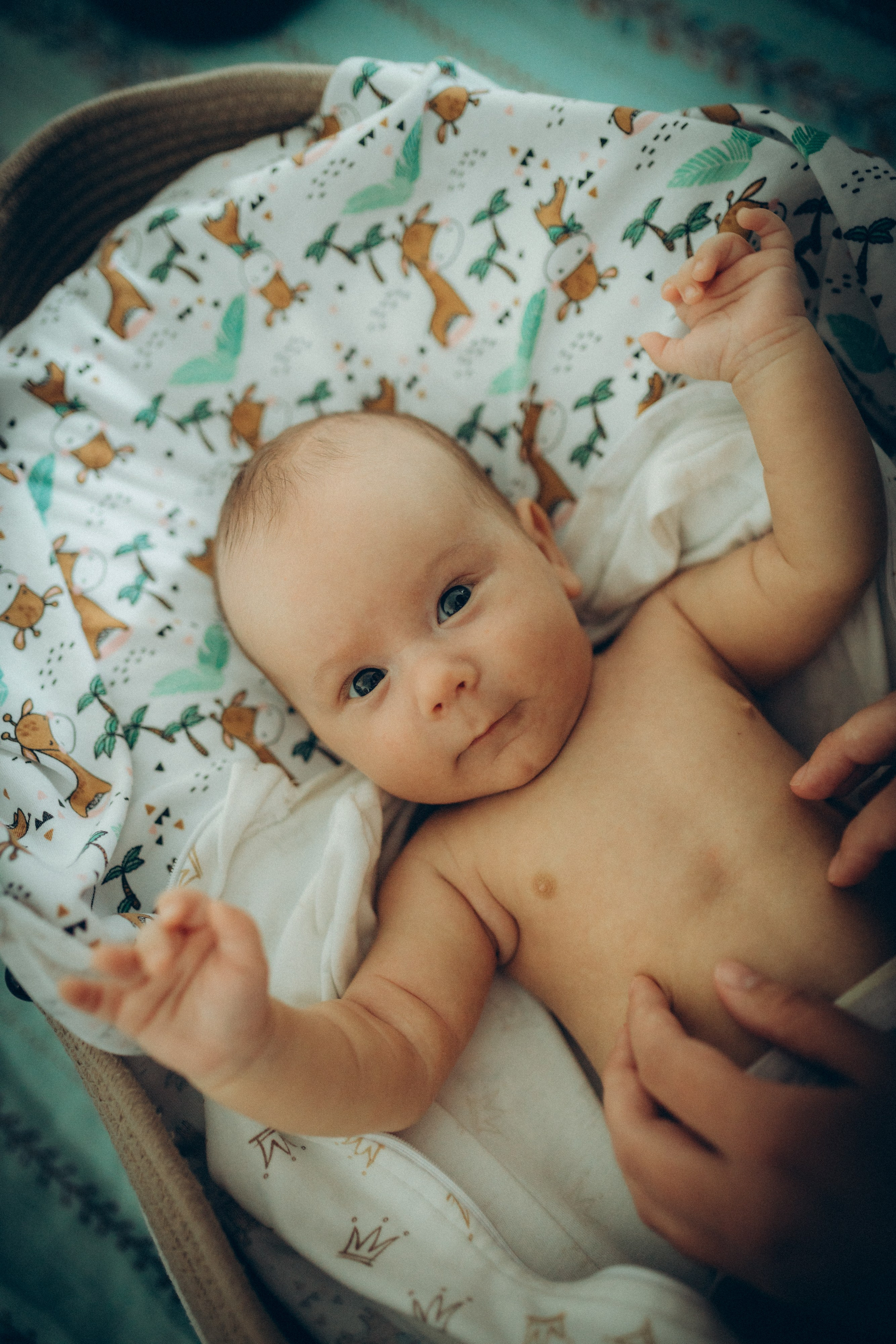 Аня, Кирилл и Ярослав. Семейный фотограф и фотограф на роды в Ростове-на-Дону Мухина Виктория