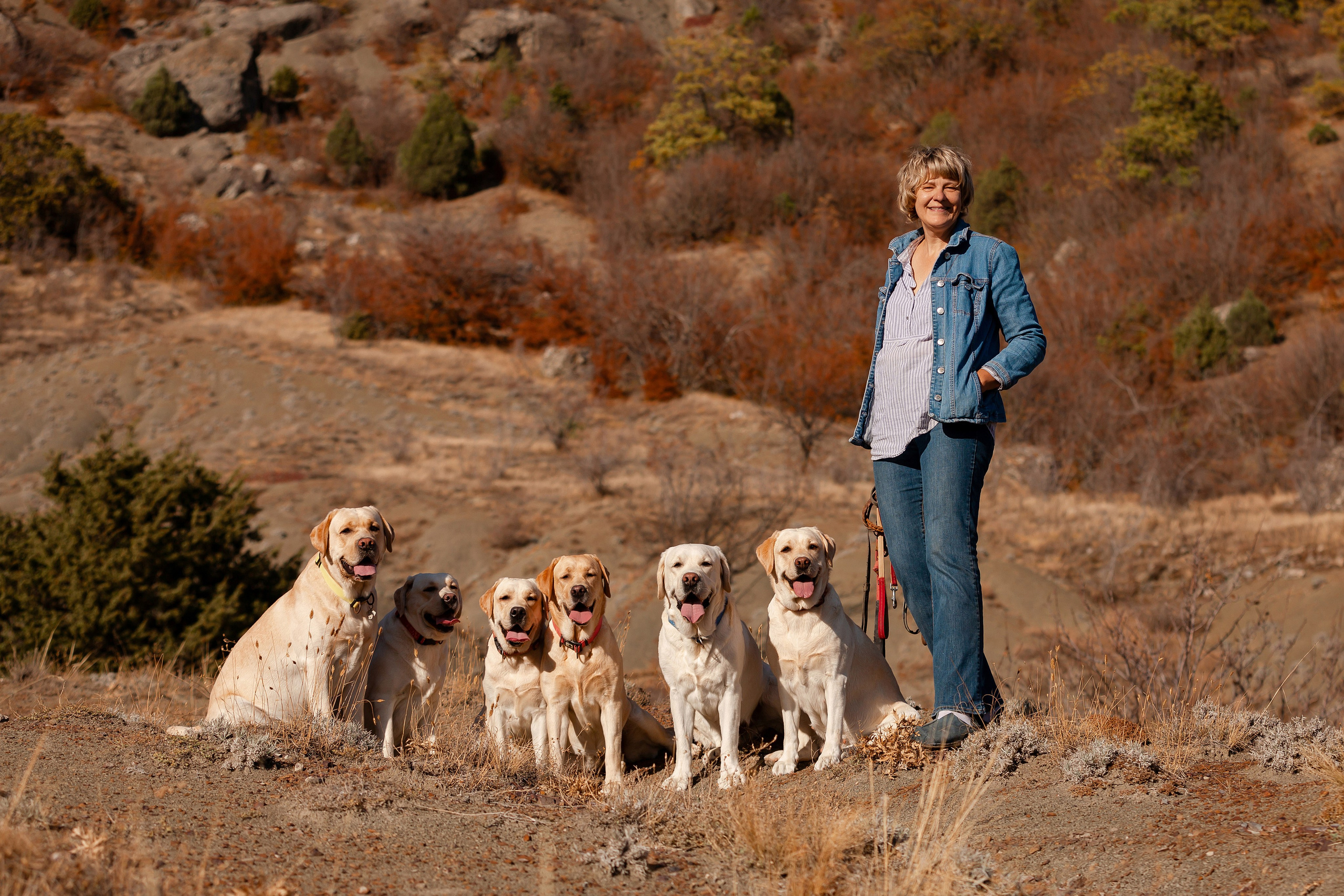 Лабрадоры и горы. Фотограф-анималист в Краснодаре Маша Мельникова