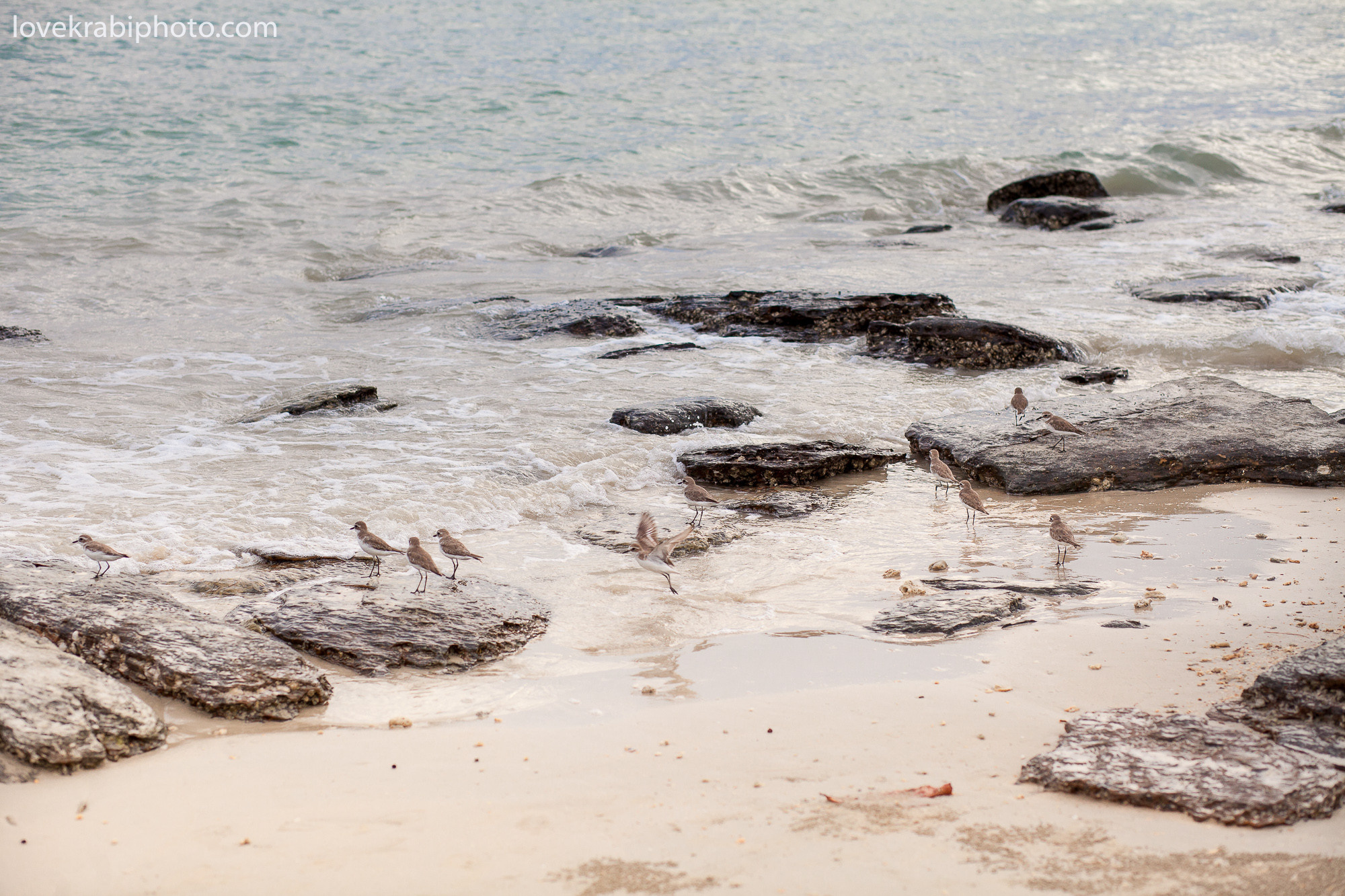Dusit thani resort, thailand  krabi photographer, krabi beach dinner, aonang beach, krabi wedding