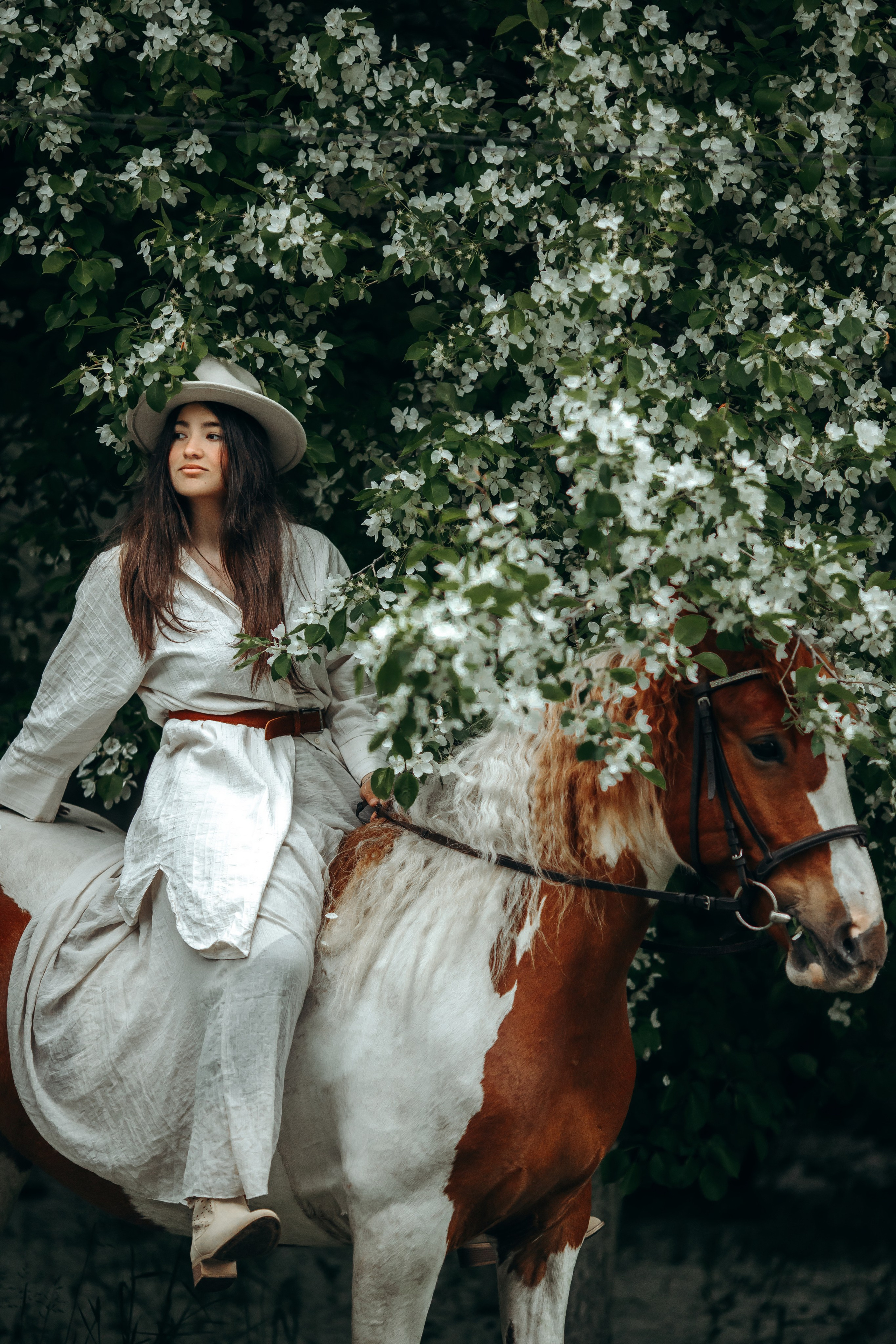 Весенние цветения. Анна Молчанова конный фотограф в Тюмени | фотосессии с лошадьми Тюмень