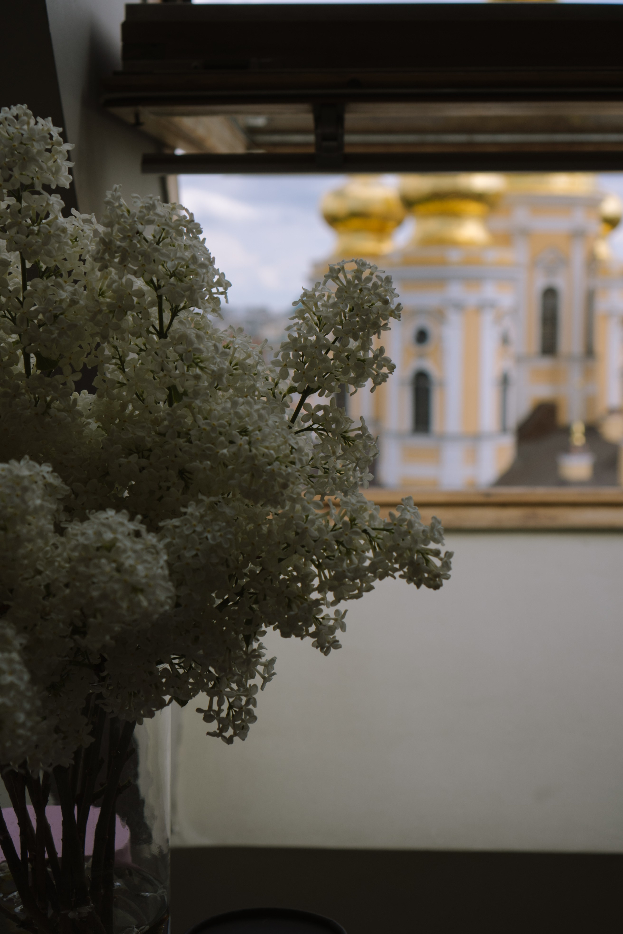 СВАДЕБНЫЙ БАНКЕТ НА ВЛАДИМИРСКОЙ В САНКТ-ПЕТЕРБУРГЕ (КАМЕРНАЯ СВАДЬБА). Профессиональный фотограф, Санкт-Петербург — Виктория Богомолова