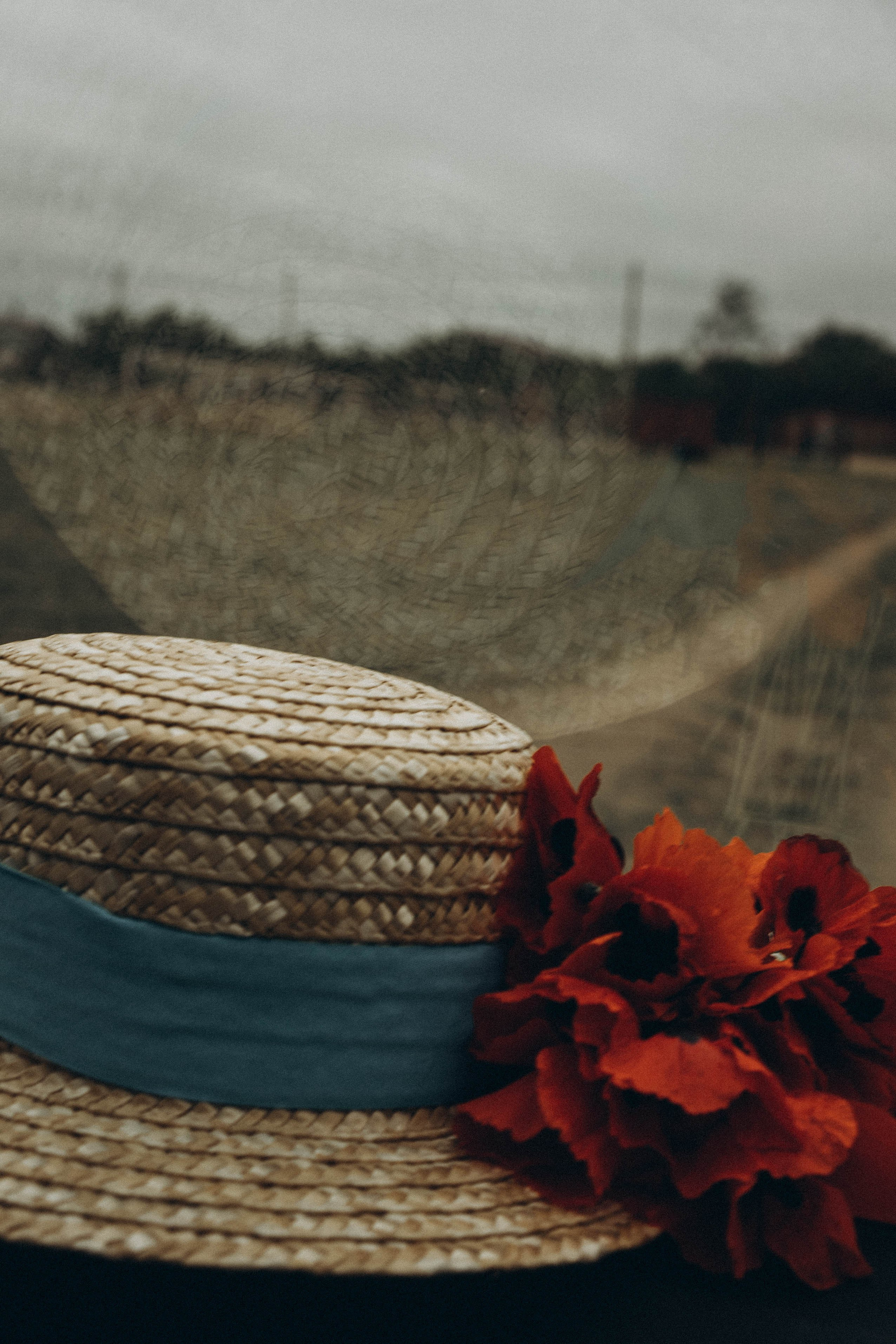 Кавказ. Профессиональный фотограф, Санкт-Петербург — Виктория Богомолова