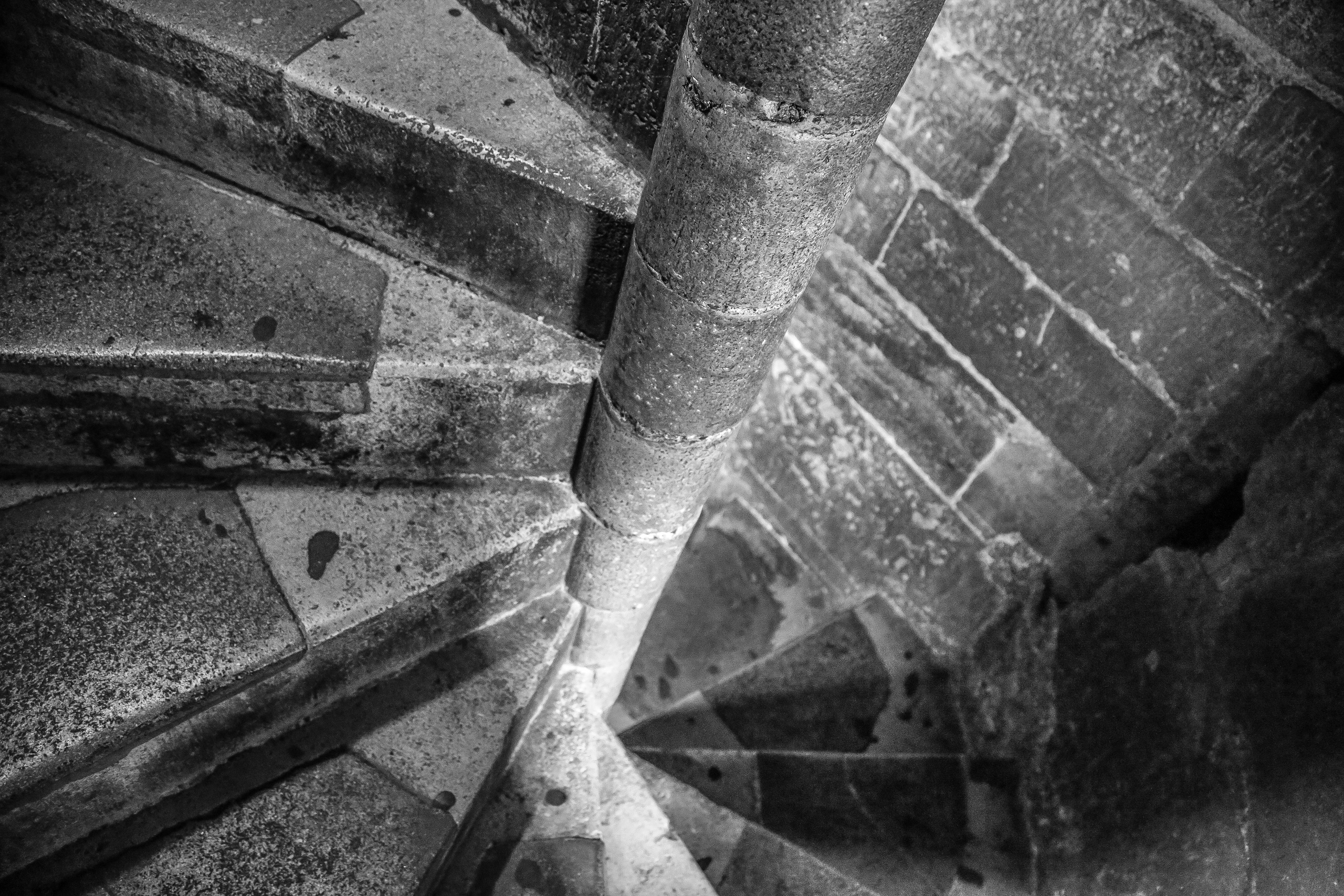 Австрия: Вена — Святой Стефан, Штадтпарк, Бельведер. Дарья Письменюк / Darya Leitstern — фотограф, музыкант, журналист, путешественник