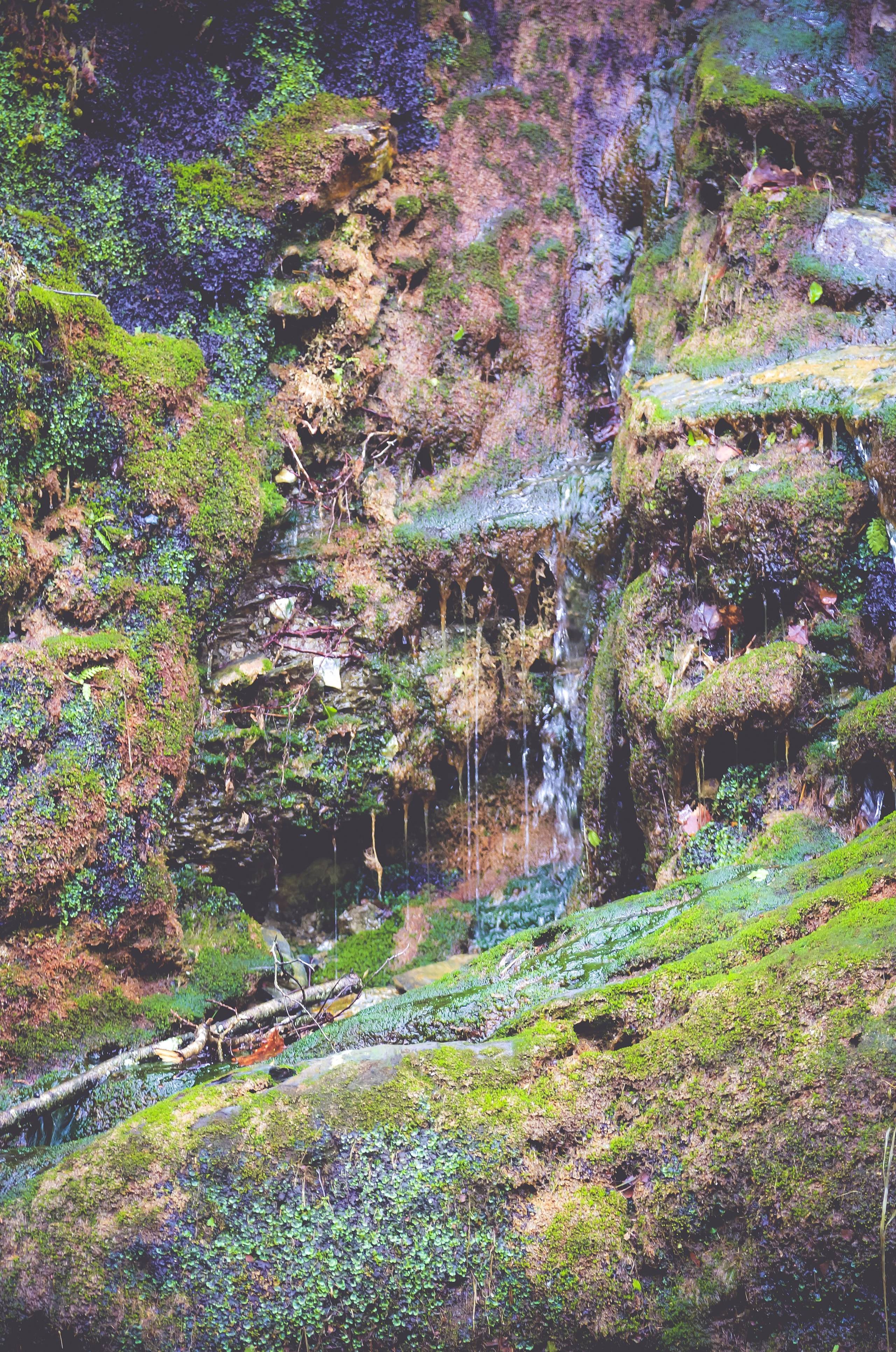 Ирландия: Горы Уиклоу. Дарья Письменюк / Darya Leitstern — фотограф, музыкант, журналист, путешественник