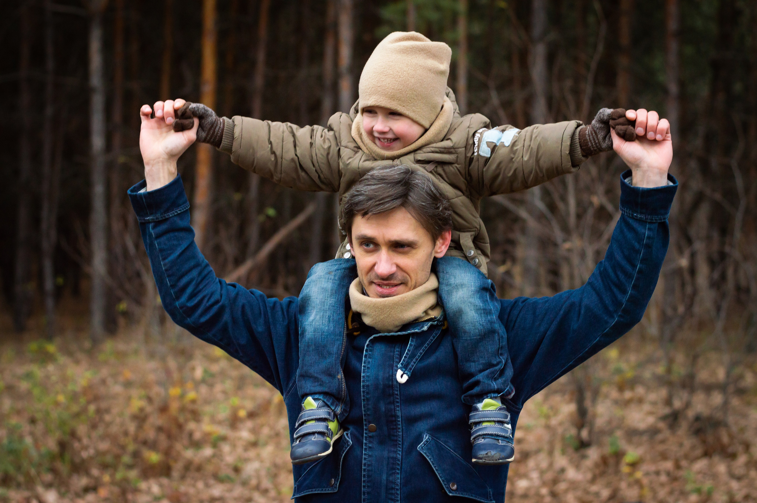 По грибы. Главная