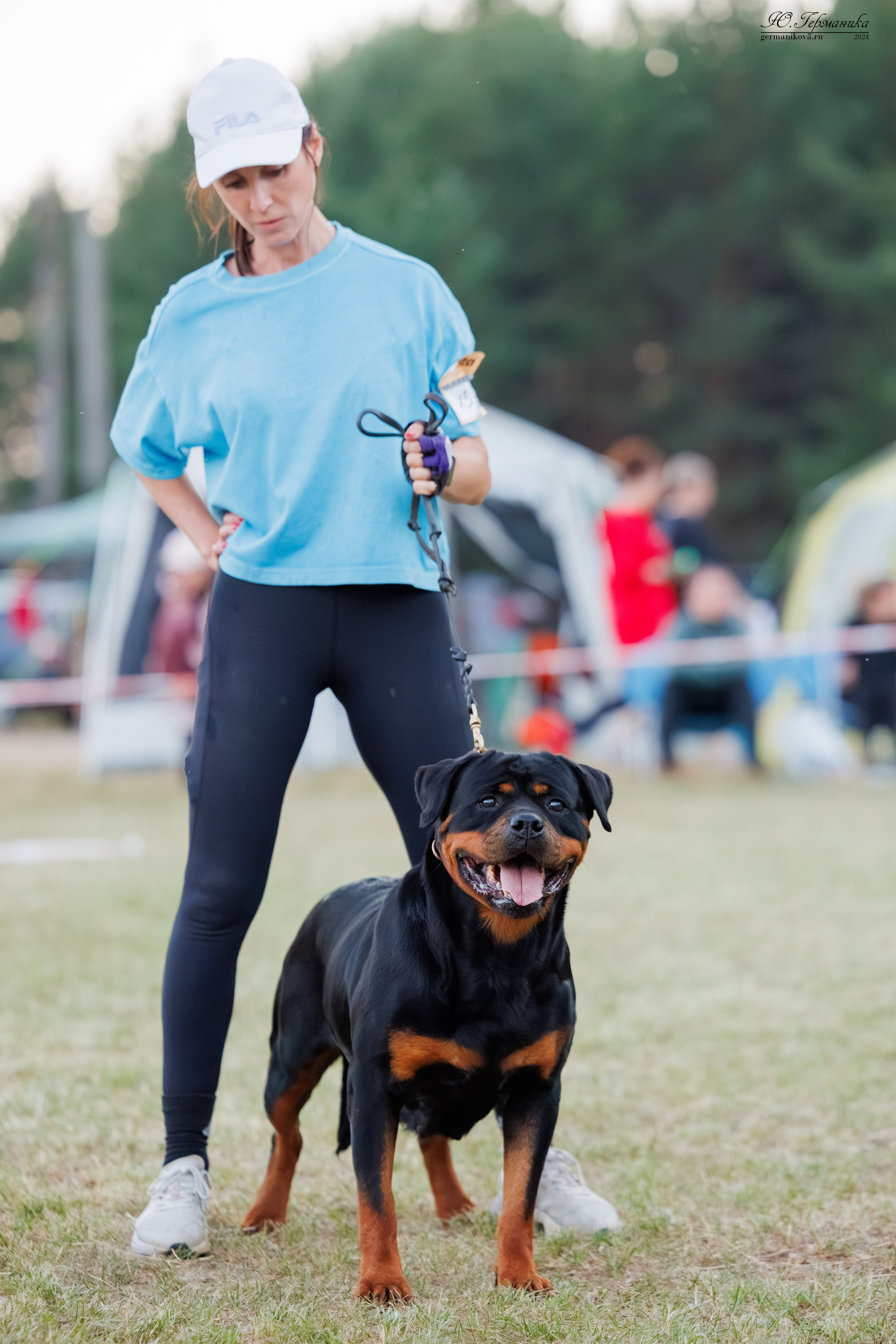 ПК и КЧК ротвейлеры Тверь 6-7.07.2024. Фотограф-анималист Юлия Германика