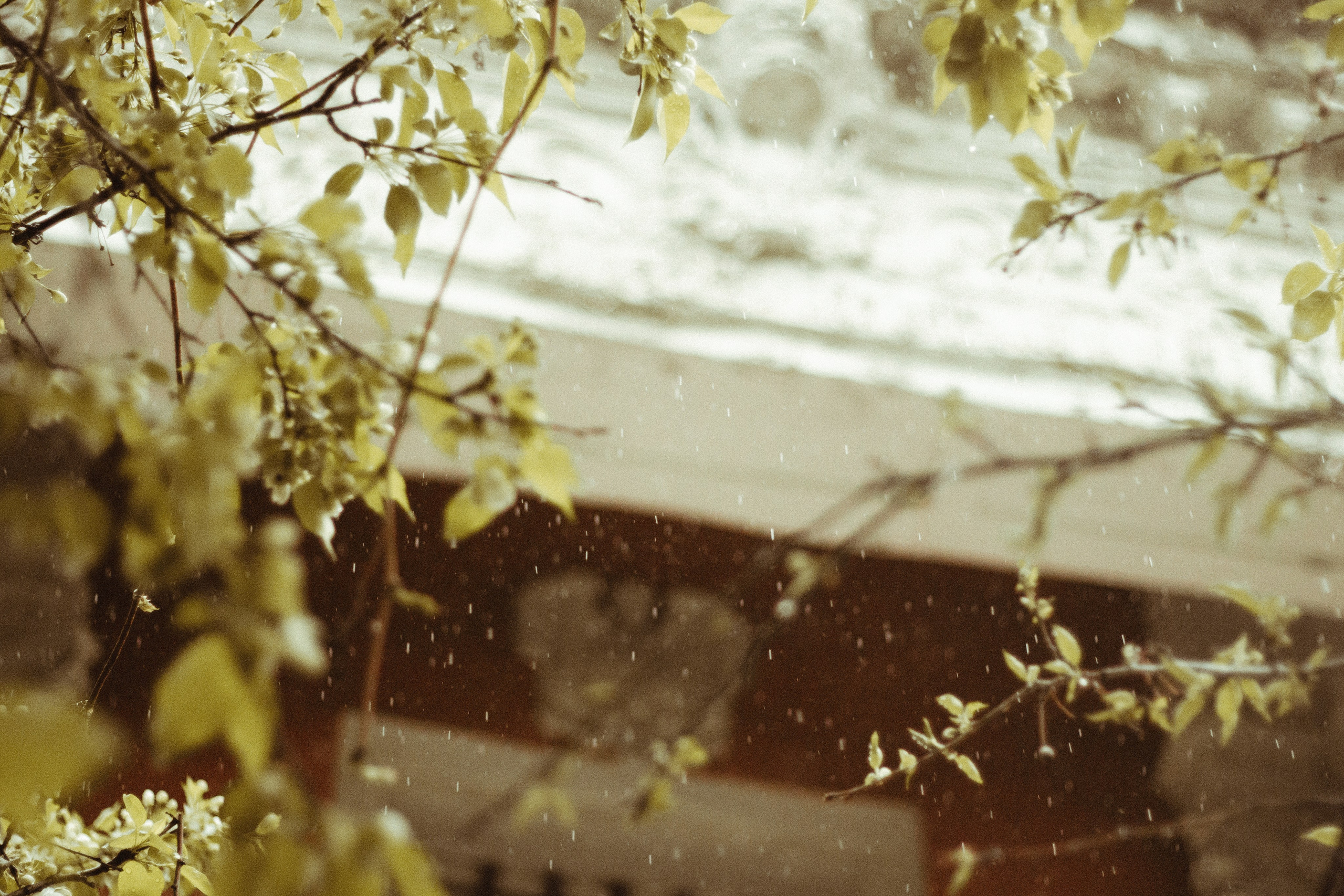 Крещение Марка. Мария Колесникова