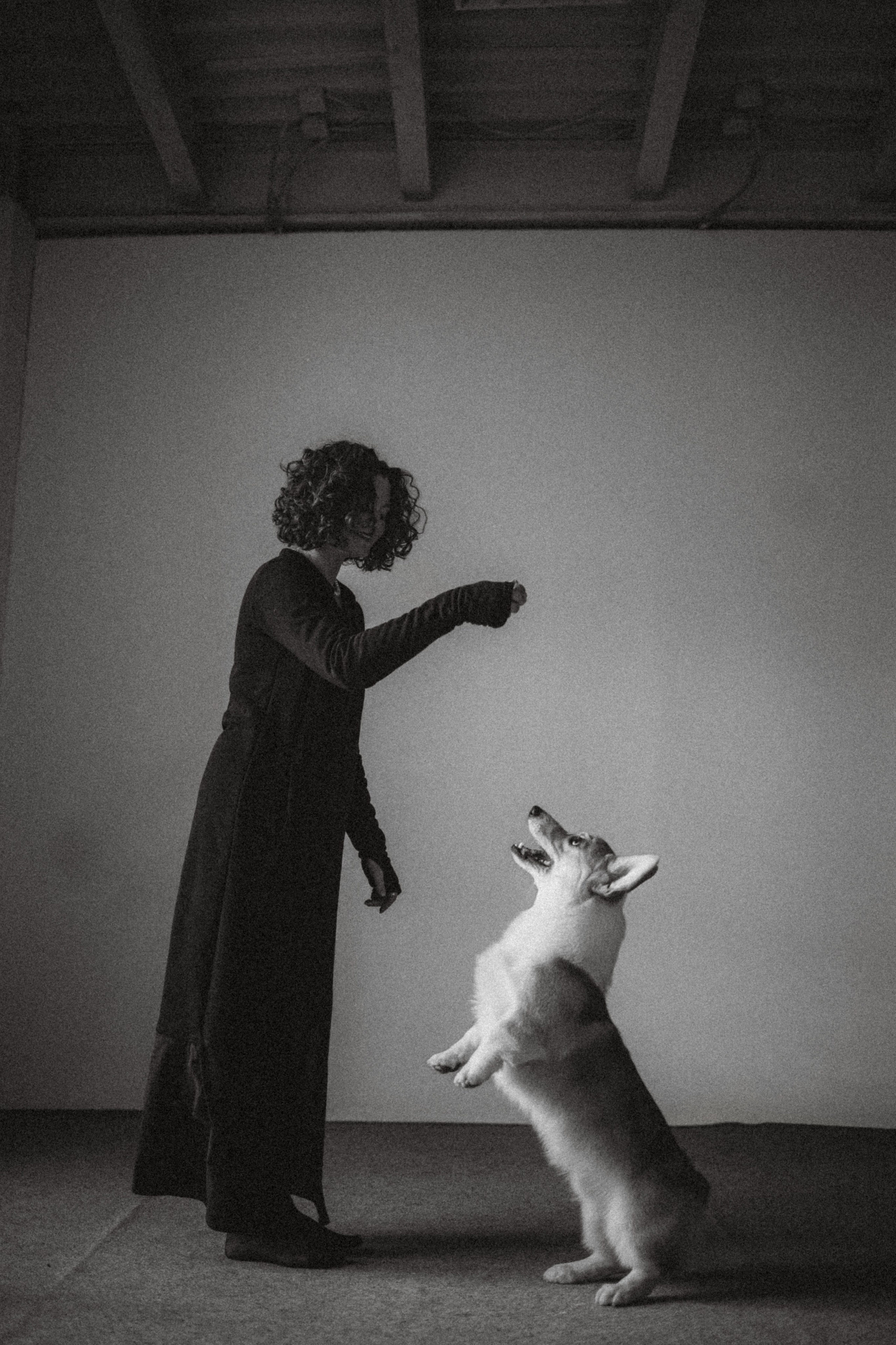 Наталья, Евгений и Мерлин