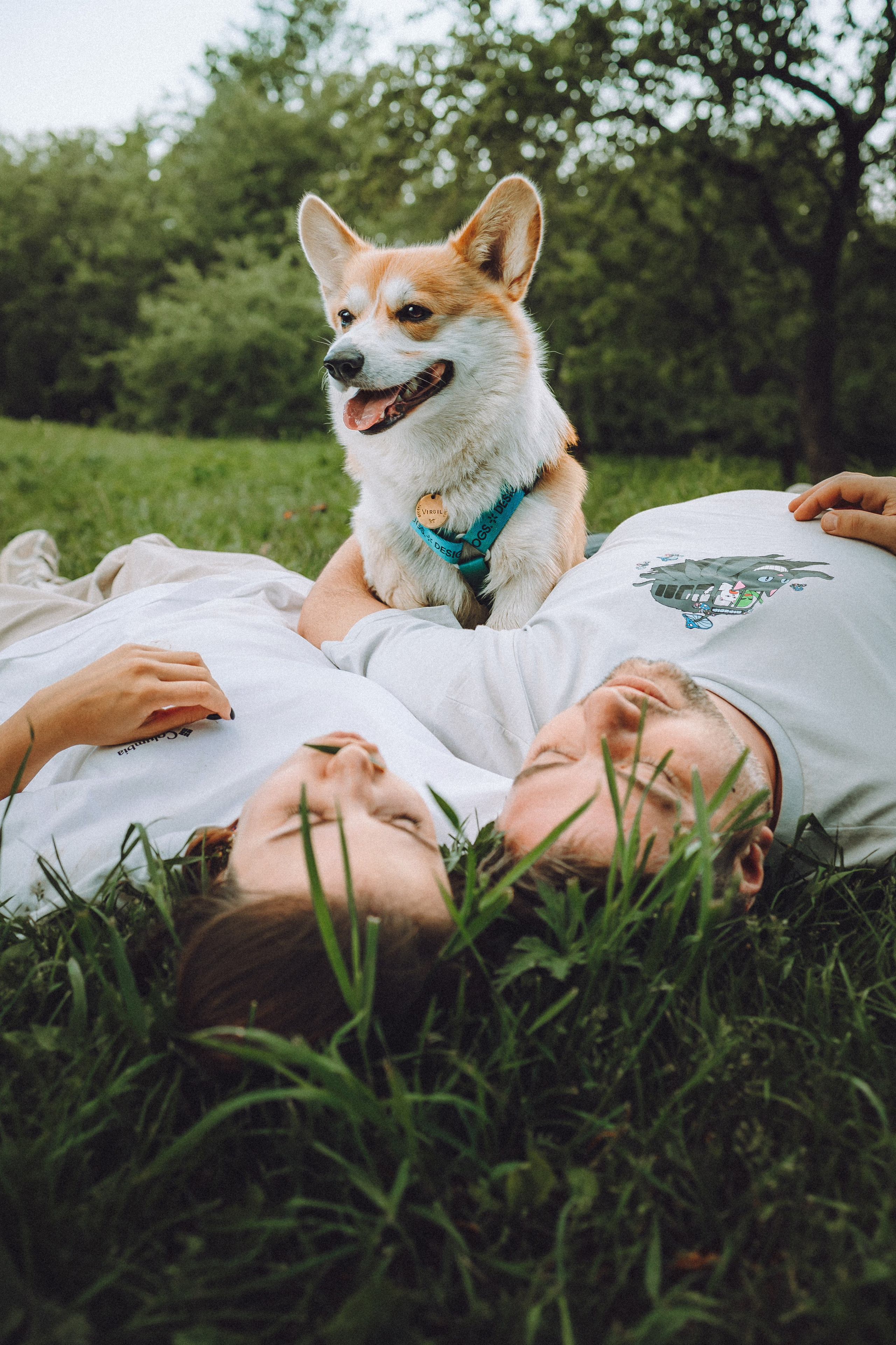 Вирджик и его семья