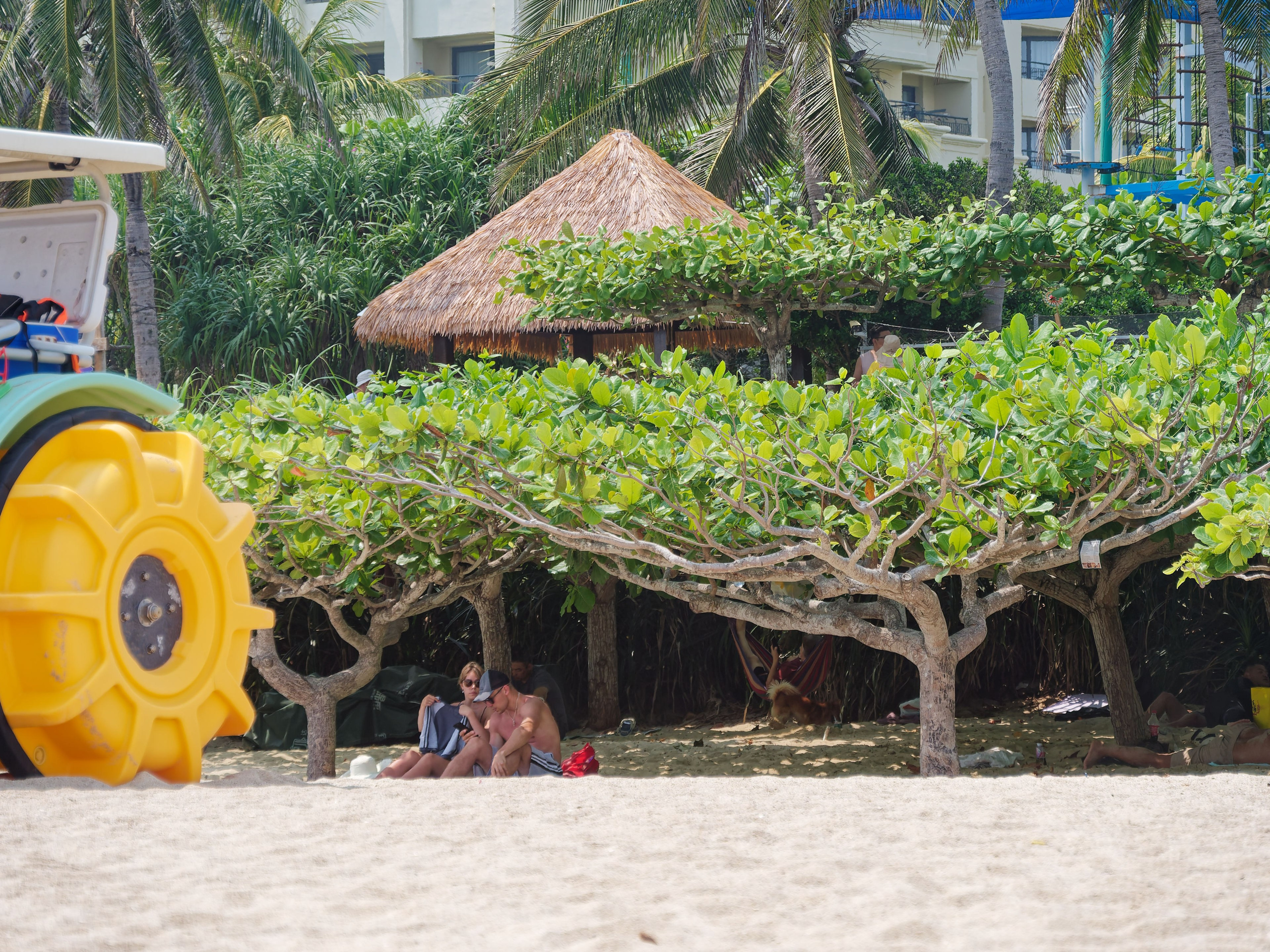 Хайнань 2026, море и пляж. Фотопрогулки по Миру