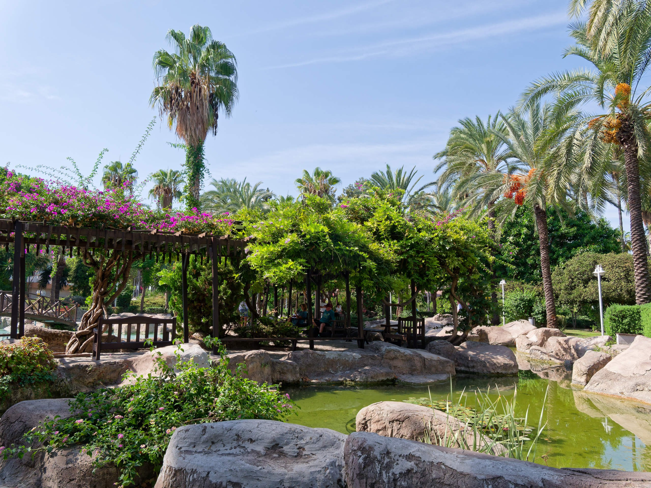 Алания 2025, город, стрит-фото. Избранные фотографии