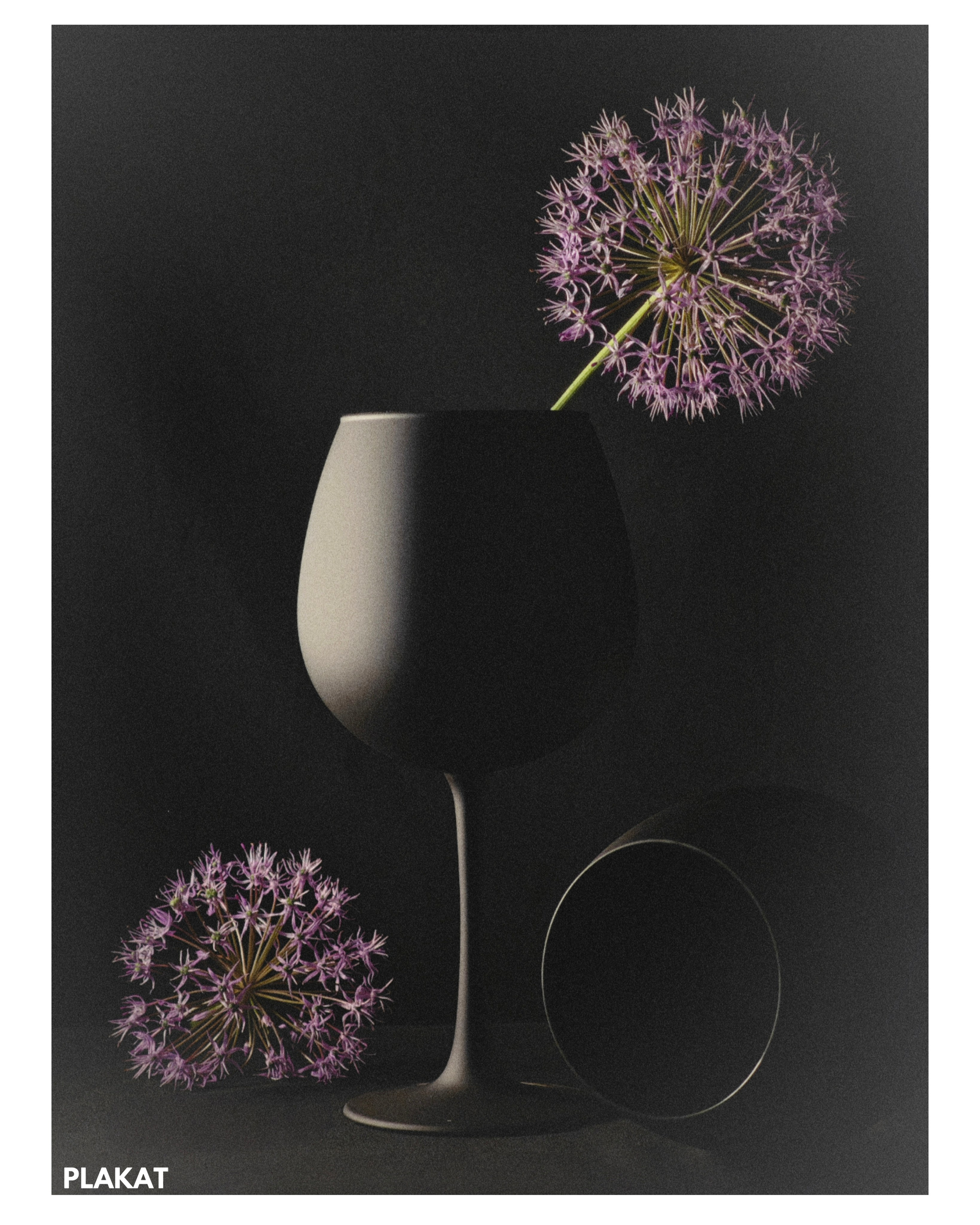 @danilovanatalia2016