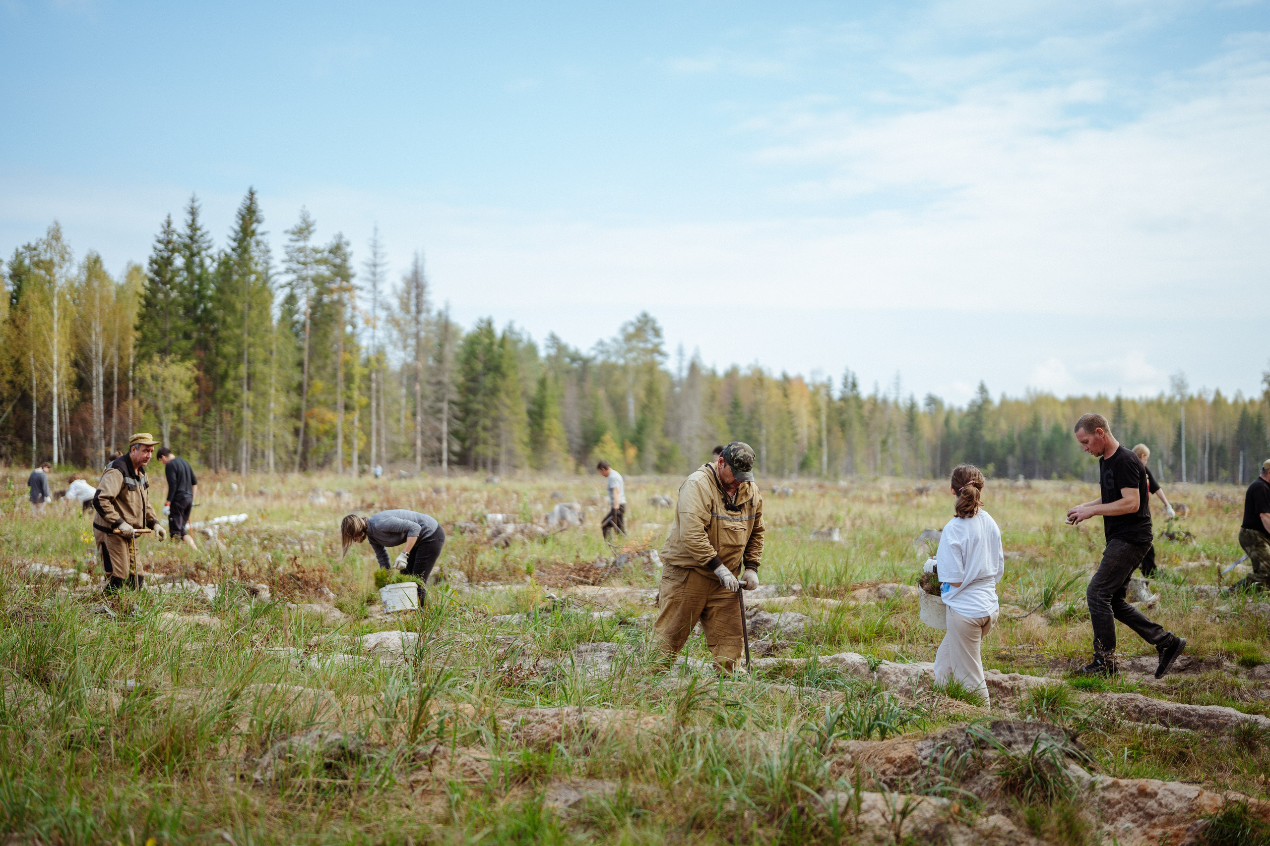 СБЕР · ЭКА · Посадка сеянцев. Владимир Вершинин, тот самый свадебный видеограф