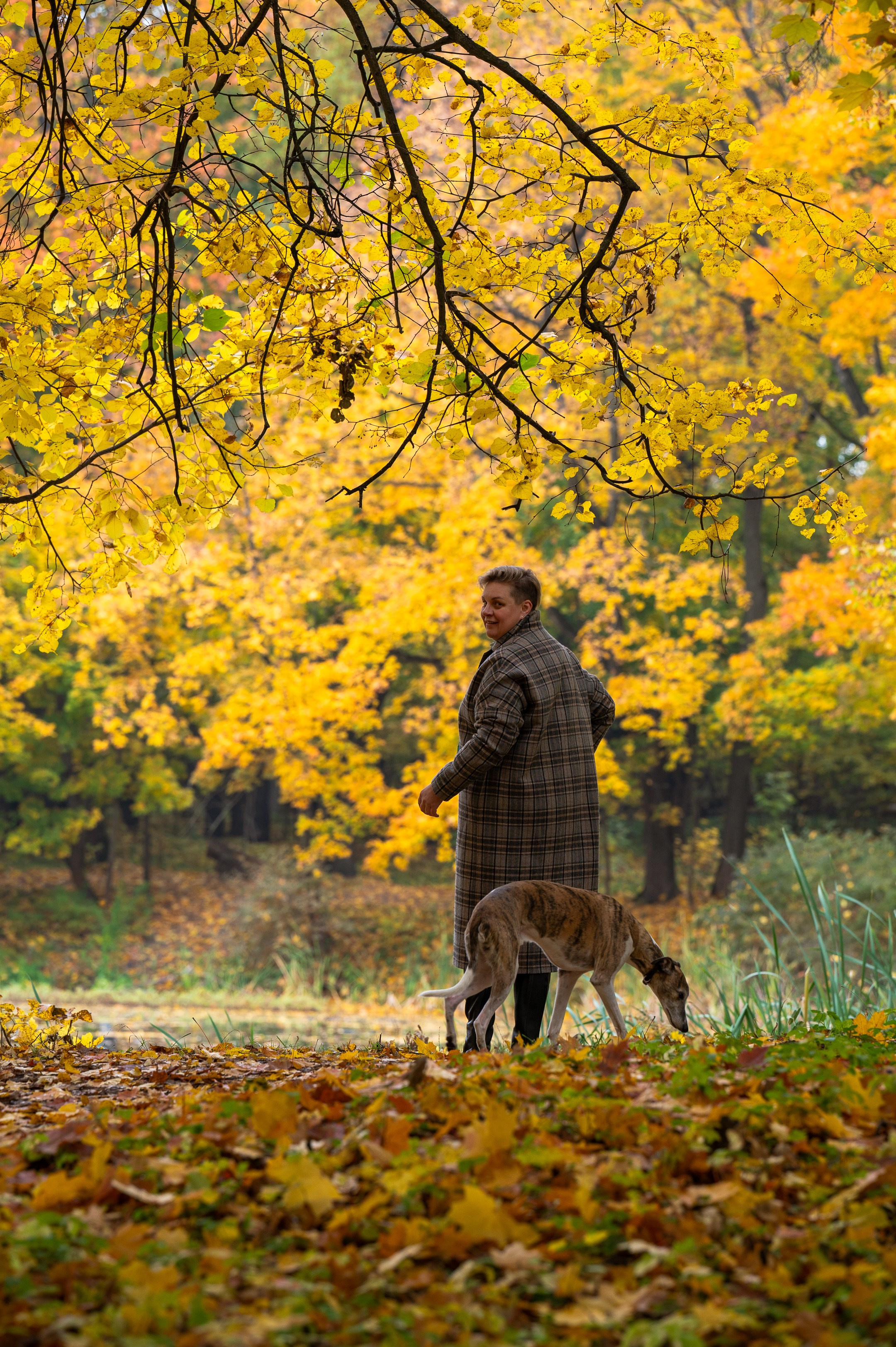 Diana and Freddo. Photographer in Moscow Anna Chistiakova