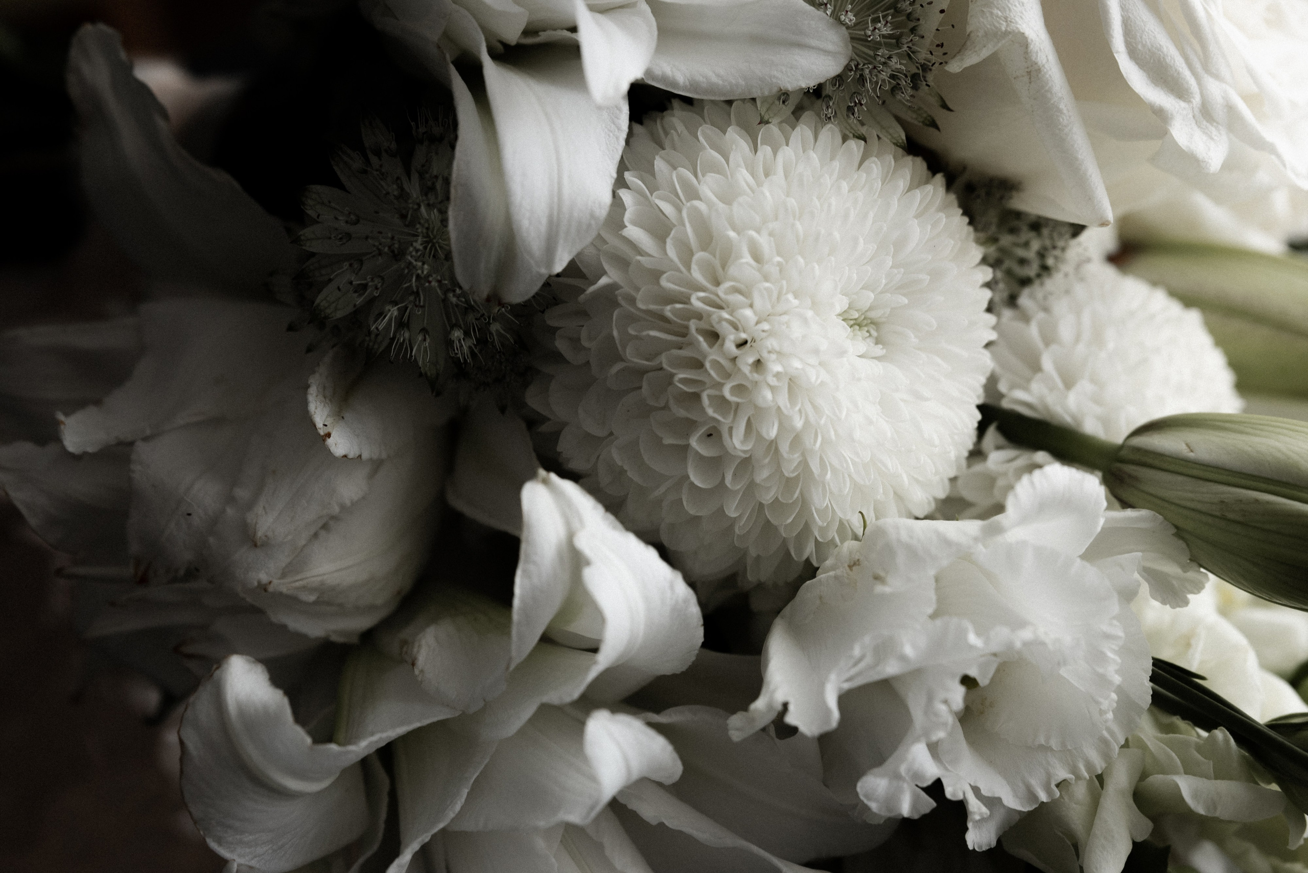 Свадебная фотосессия в Дёмино