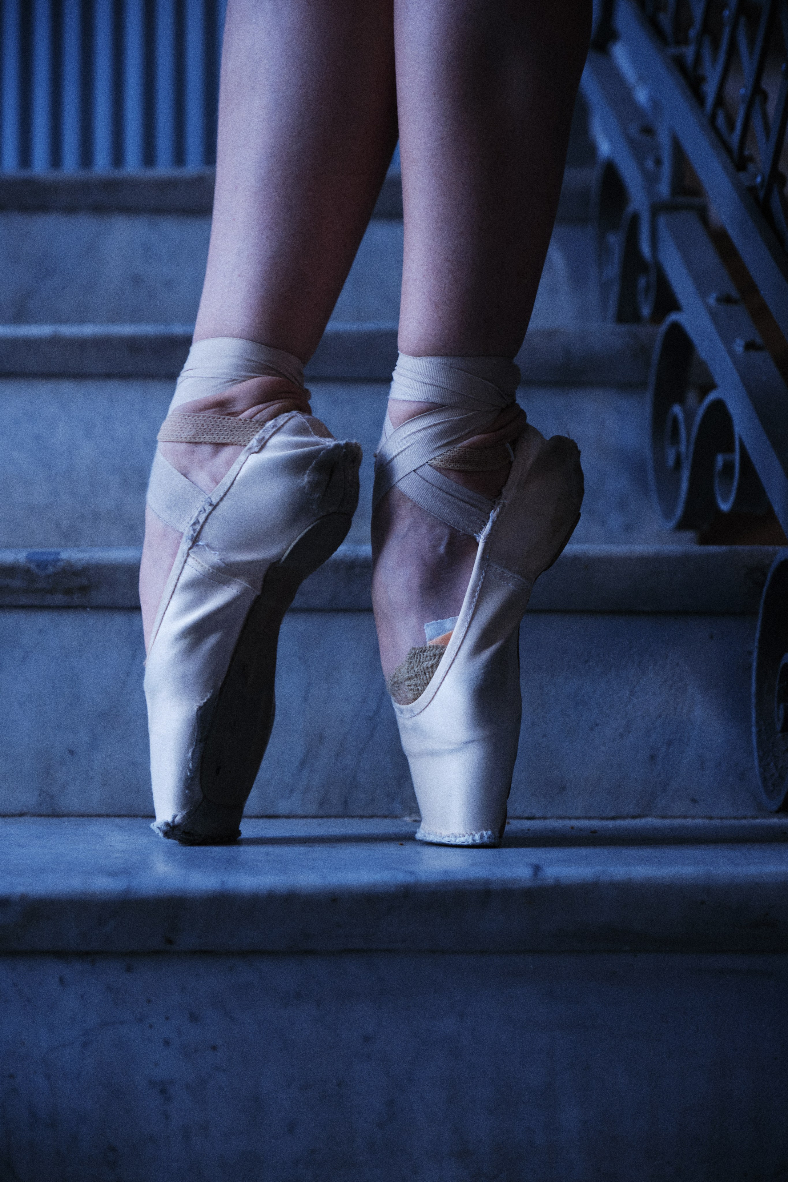 1920–1930 гг. Barsukov