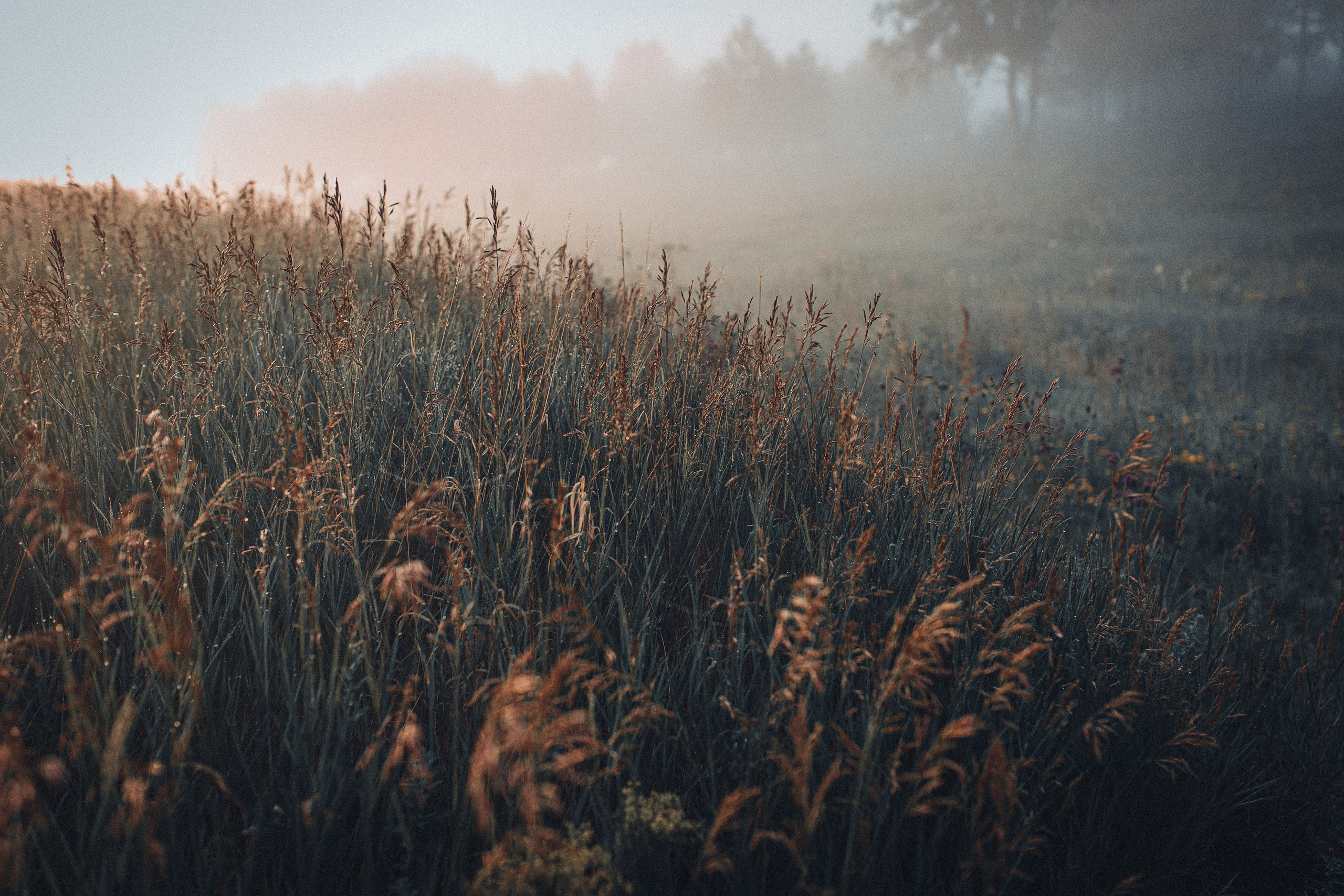 Юля. Фотограф Владимир Энджел