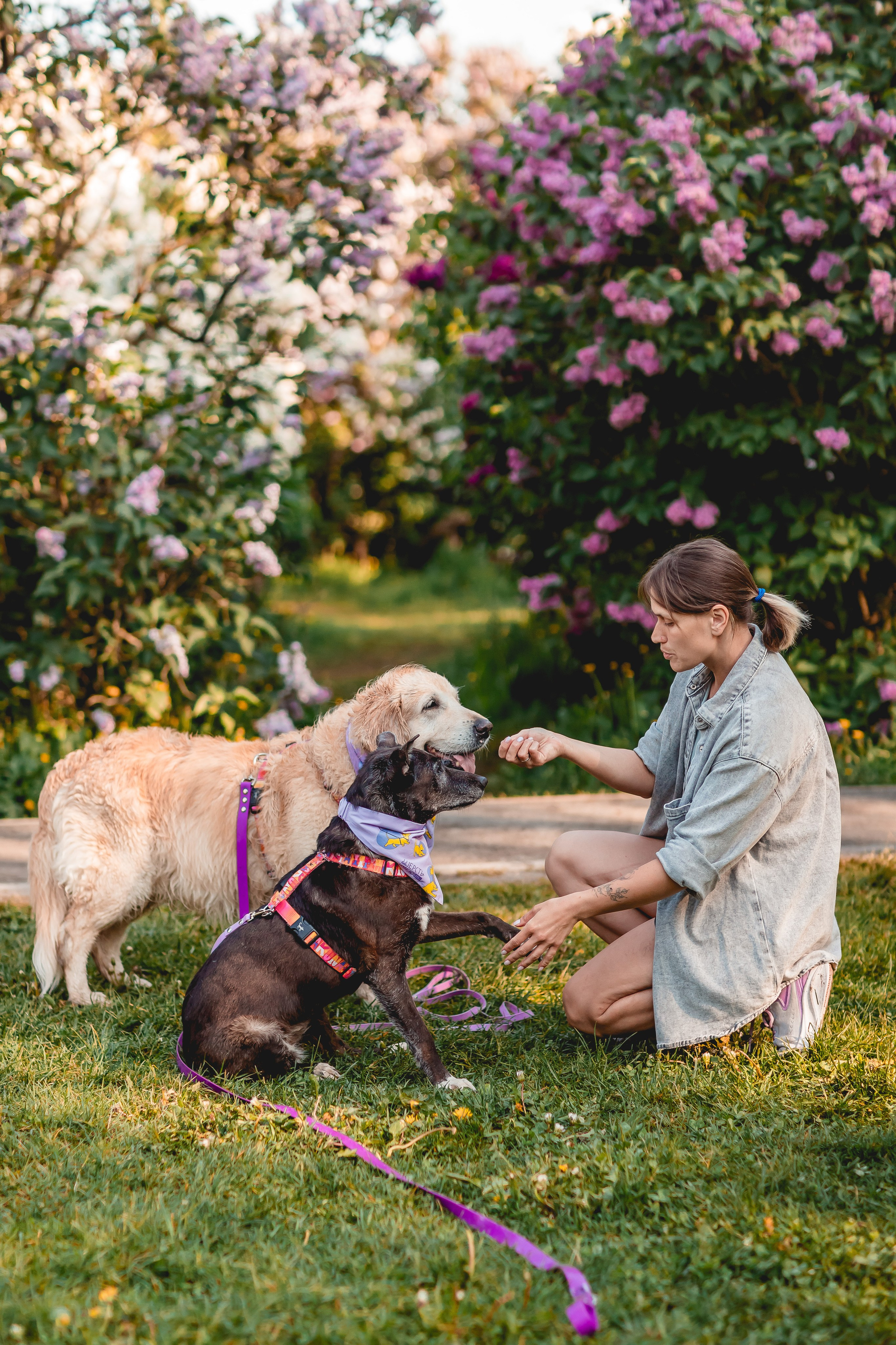 Ира, Альма и Белла. Семейный фотограф анималист Мария Крючкова