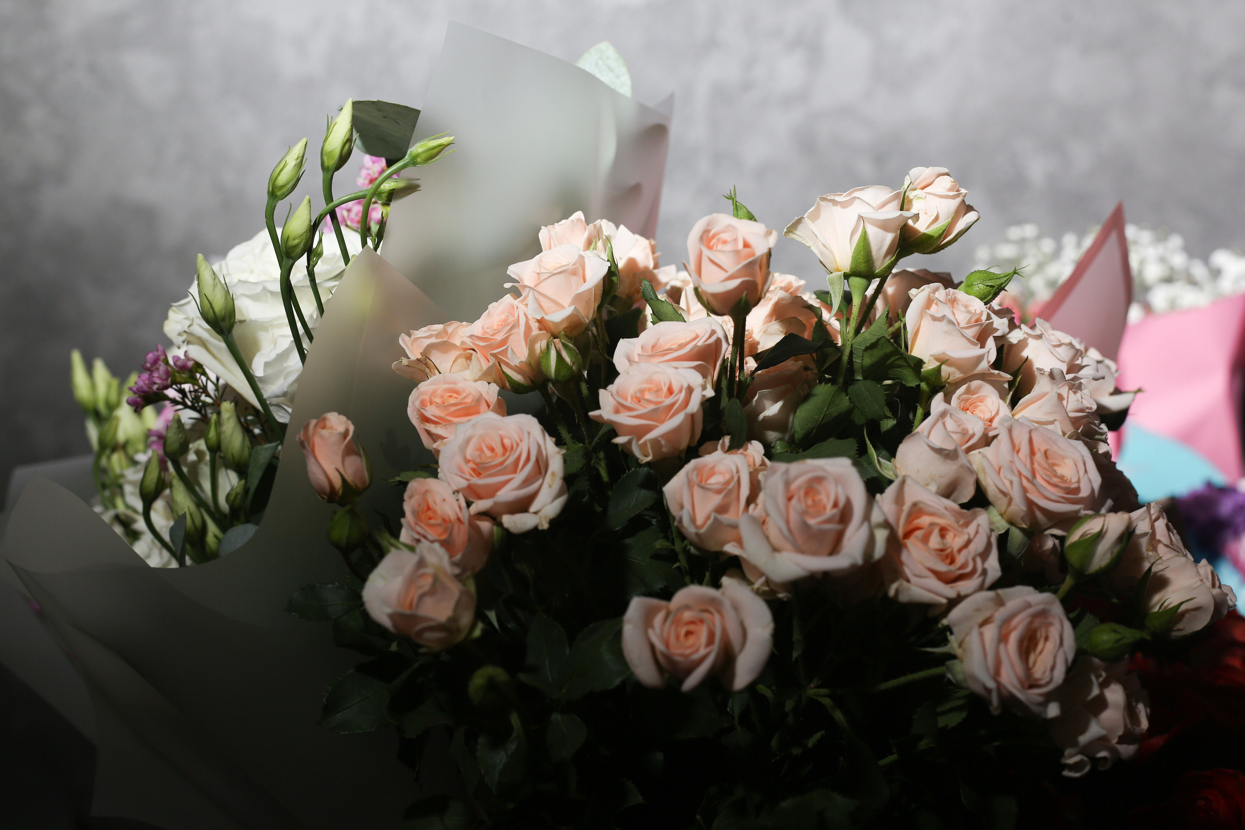 Moment (ресторан). Фотограф Анастасия Залевская