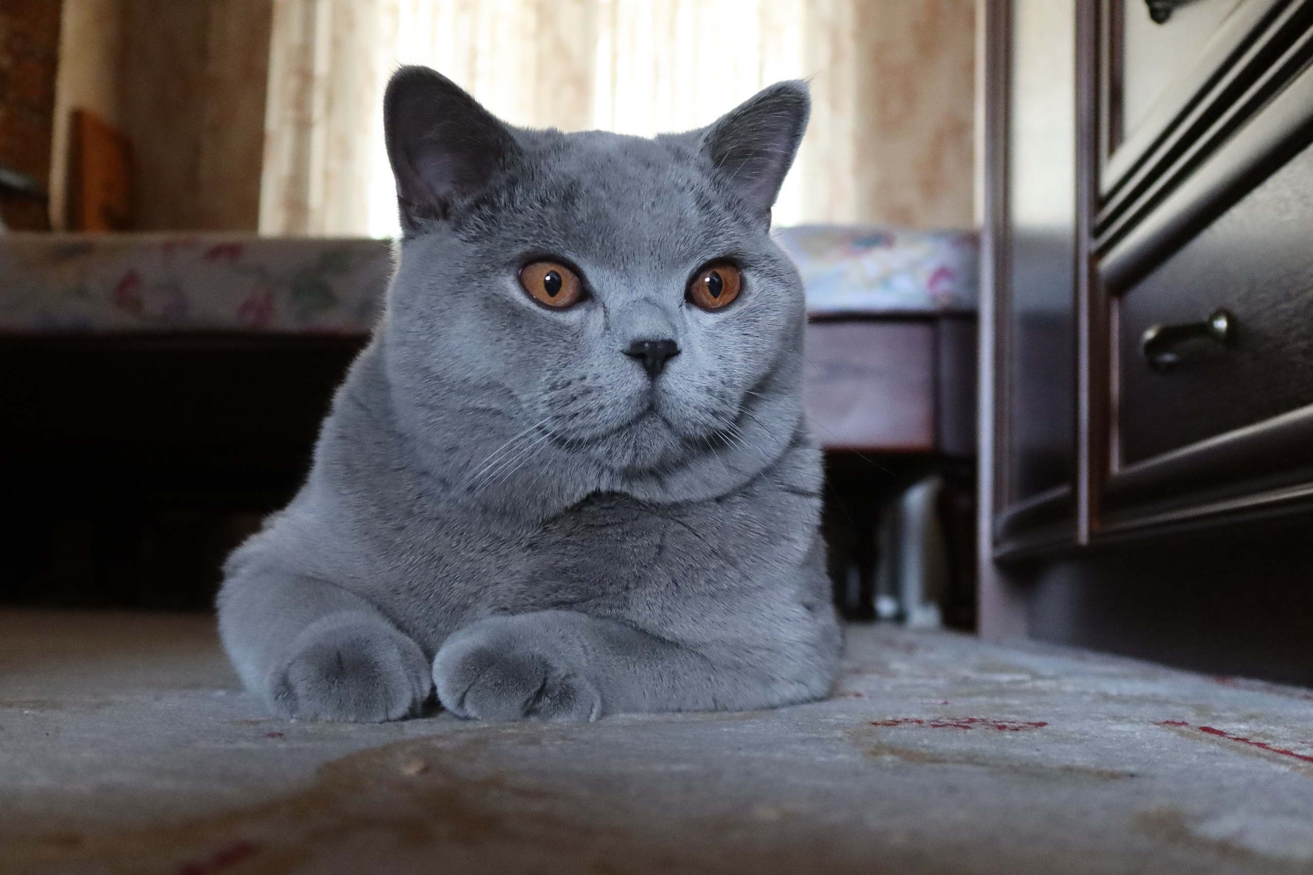 Улица, люди, жизнь…