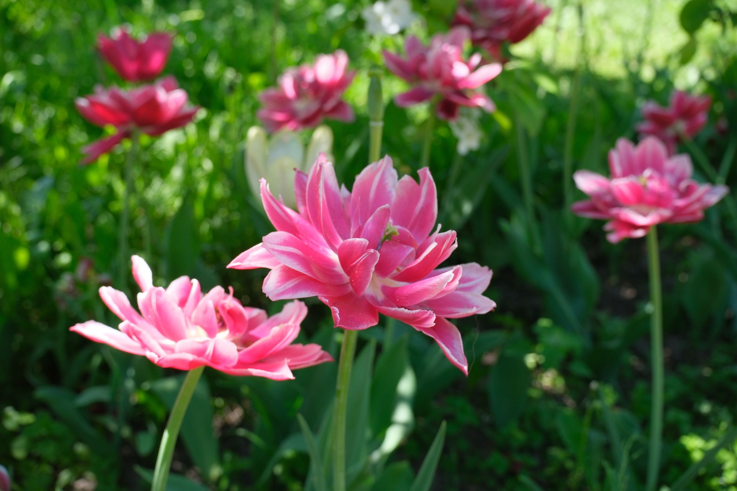 Коломенское 2024. Улица, люди, жизнь…