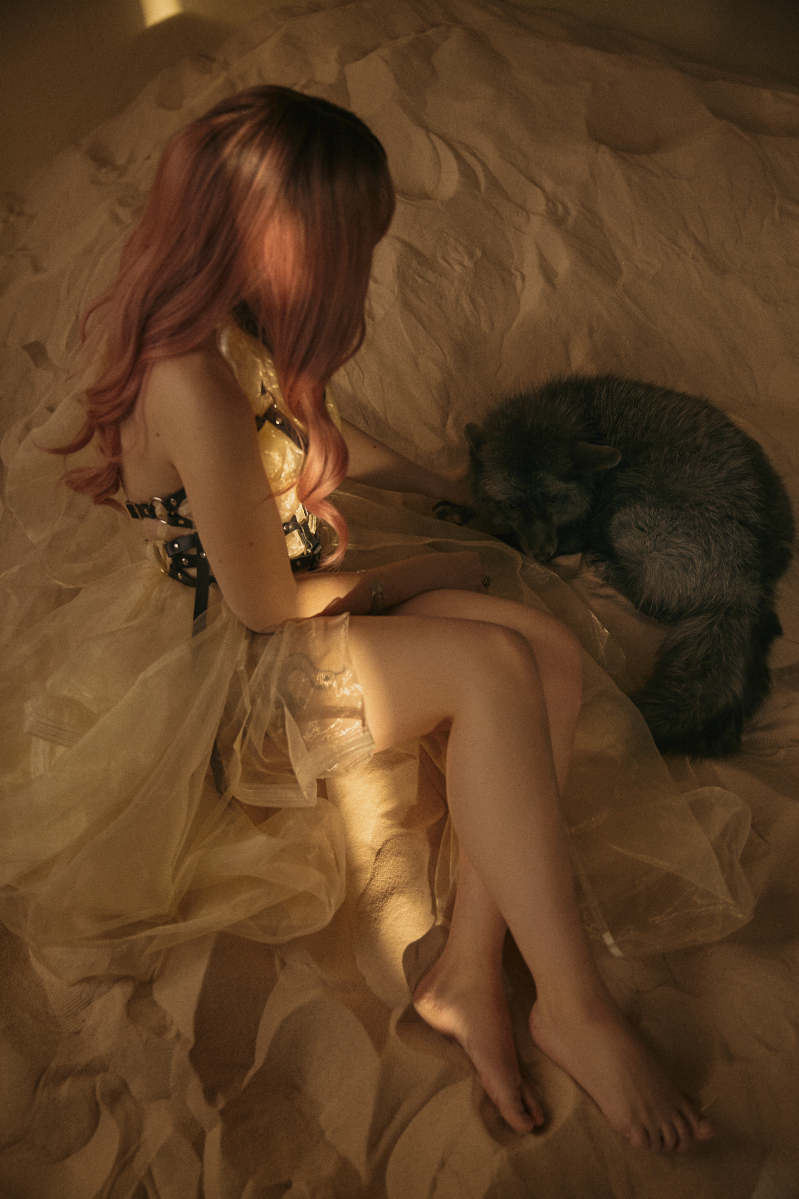 Арт съемка песчаной лисы. Рекламный фотограф Санкт-Петербург Катерина Мишкель