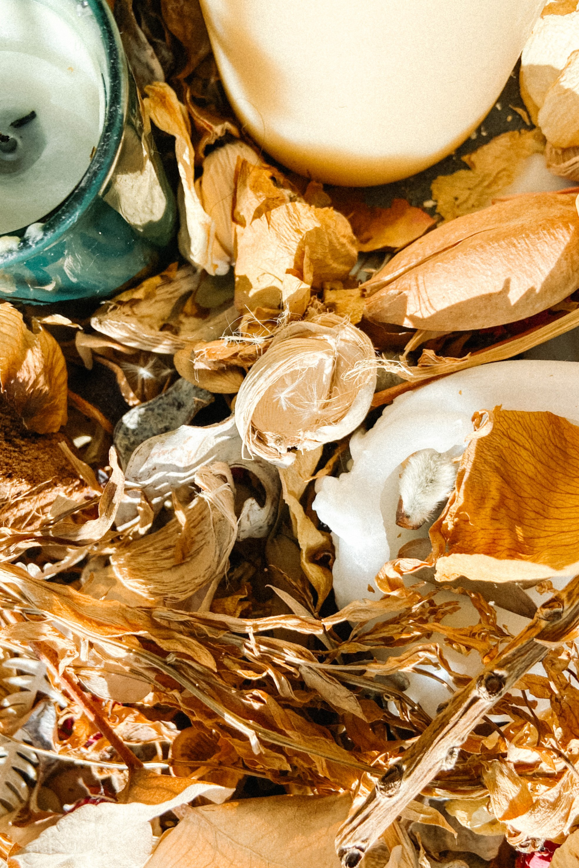 Абстракция. Команда фотографов Кристины Ивановой