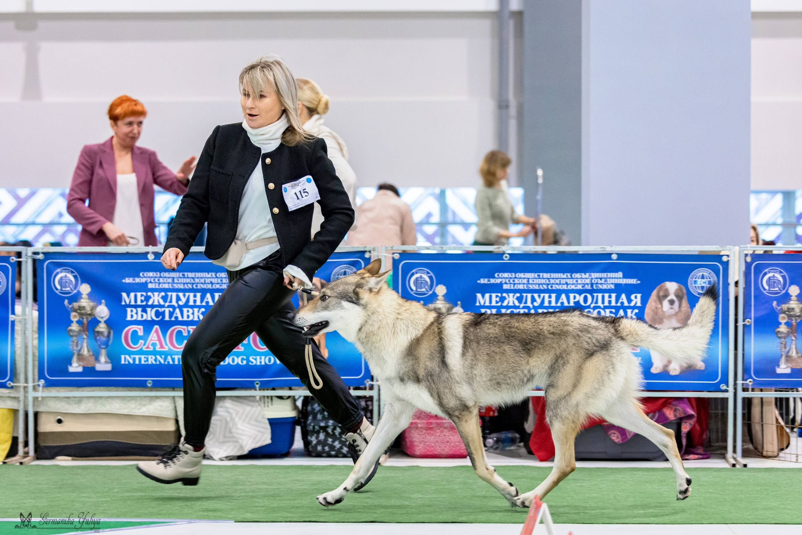 Минск 25-26.11.2023. Фотограф-анималист Юлия Германика