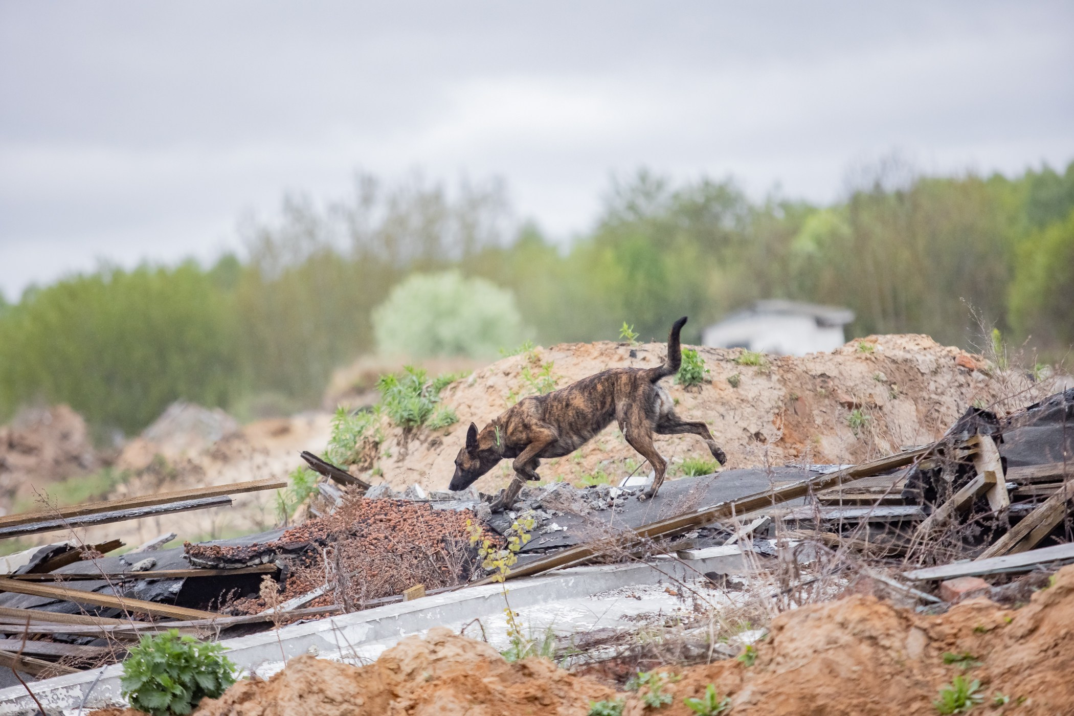 ПСС Соревнования в Нижегородской области г. Чкаловск 2023-04-28. Фотограф Ирина Астор