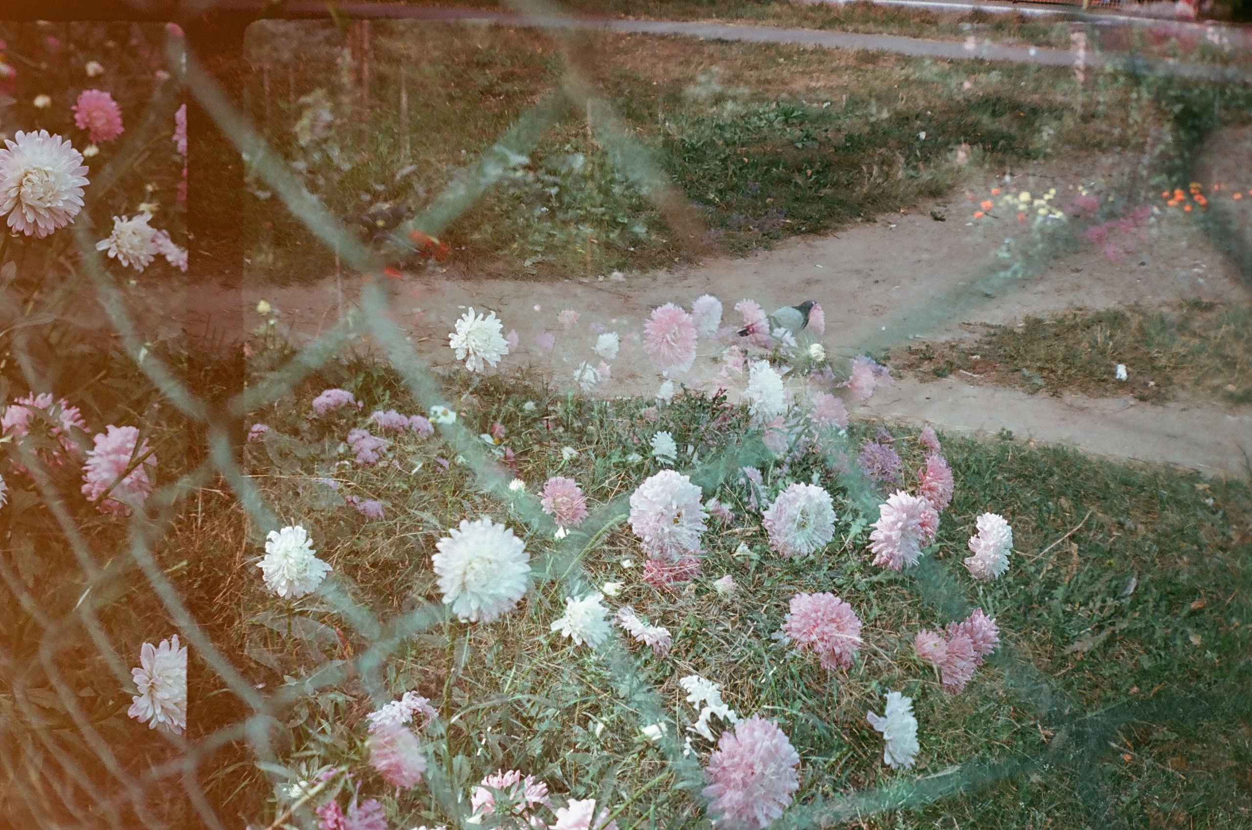 Искать. Подсвечивать. Прятать