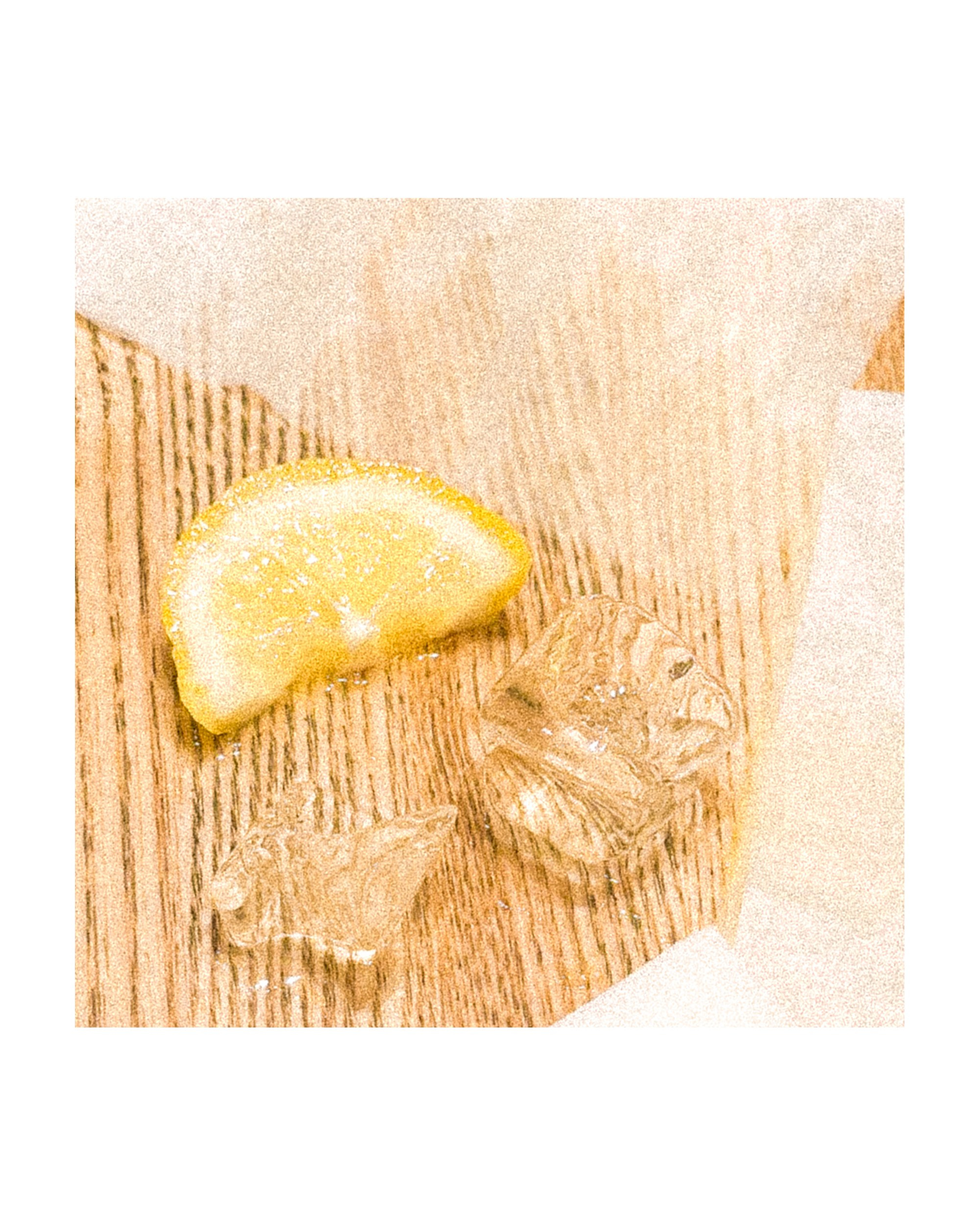 Mobile street art. Портретный фотограф в Москве