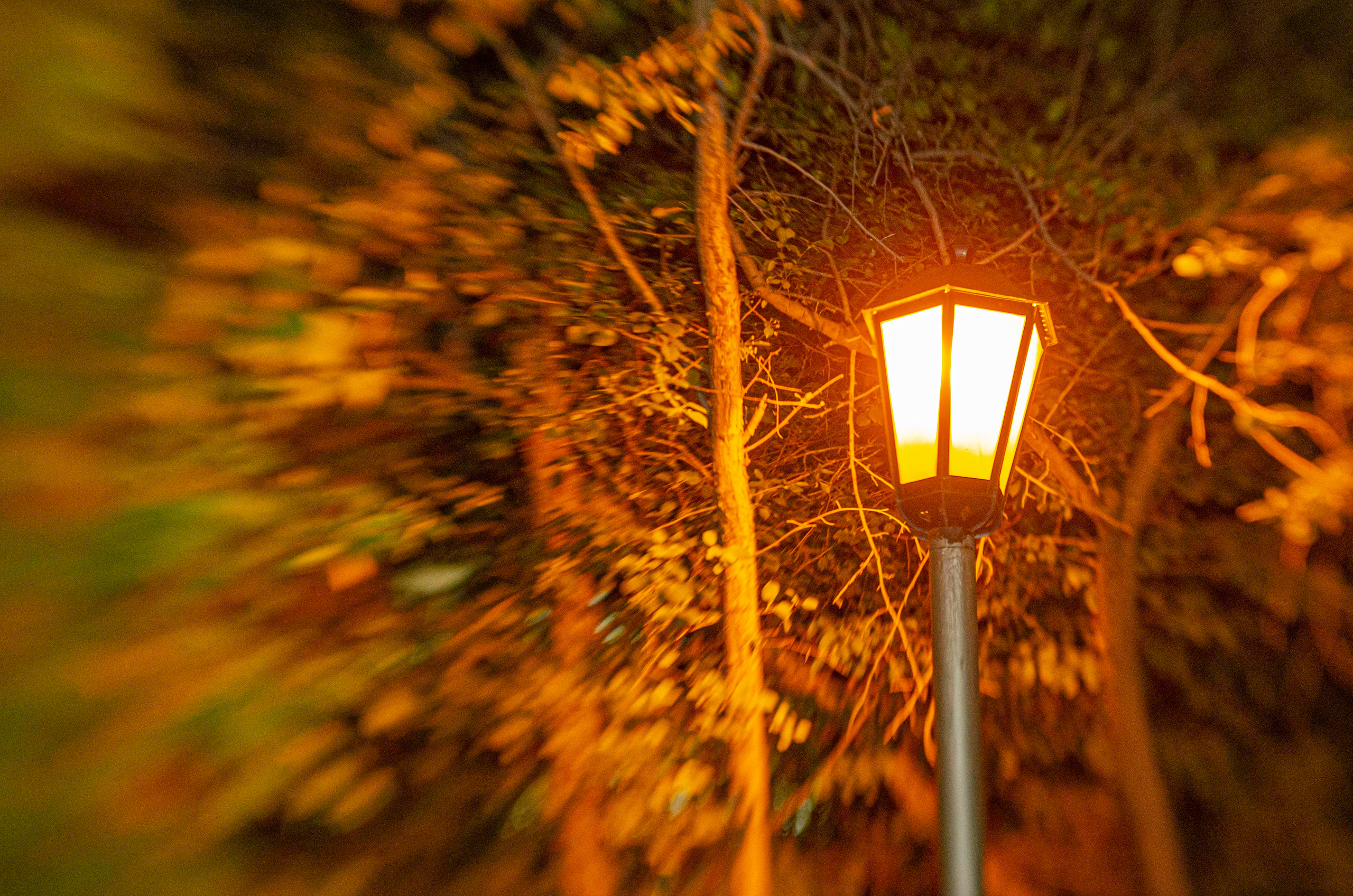 Кадры города. Такой Новосибирск. Репортажный фотограф в Новосибирске