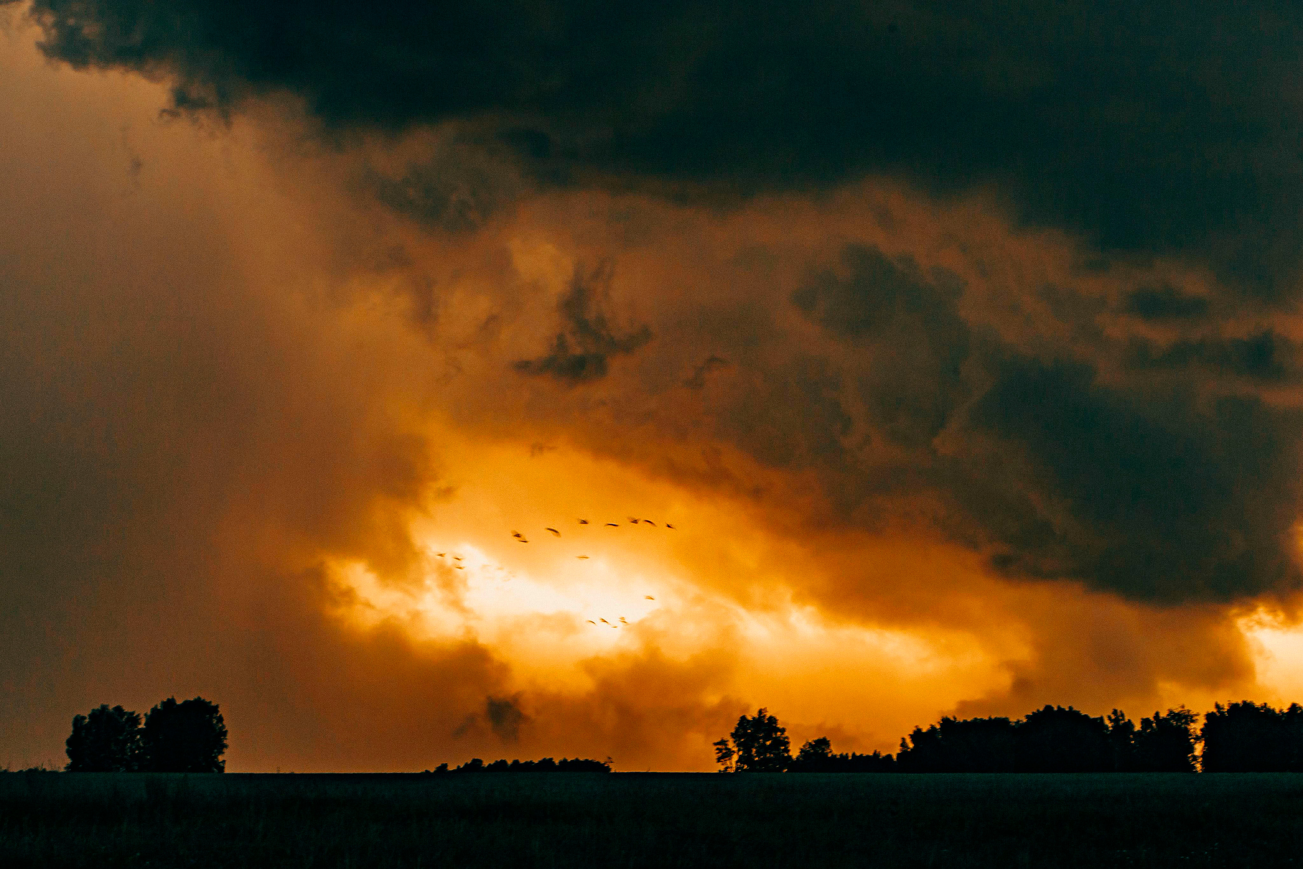 Интересные фотографии. Репортажный фотограф в Новосибирске