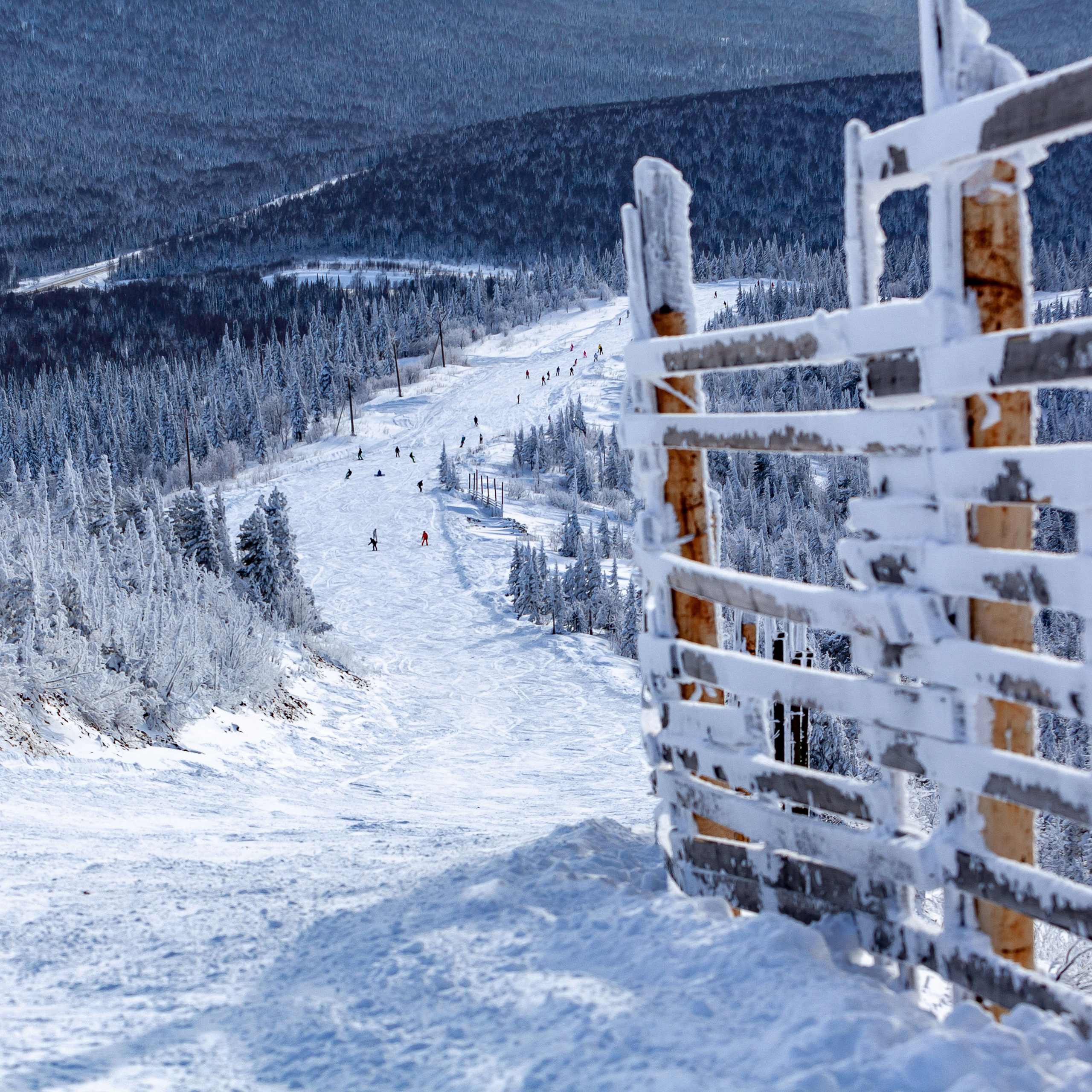 Тур в Шерегеш с MAX-BUS. Репортажный фотограф в Новосибирске