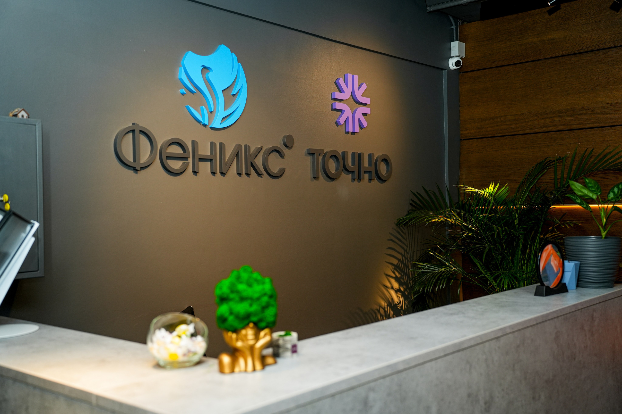 Студия и офис. Фотограф Элина Задорожная