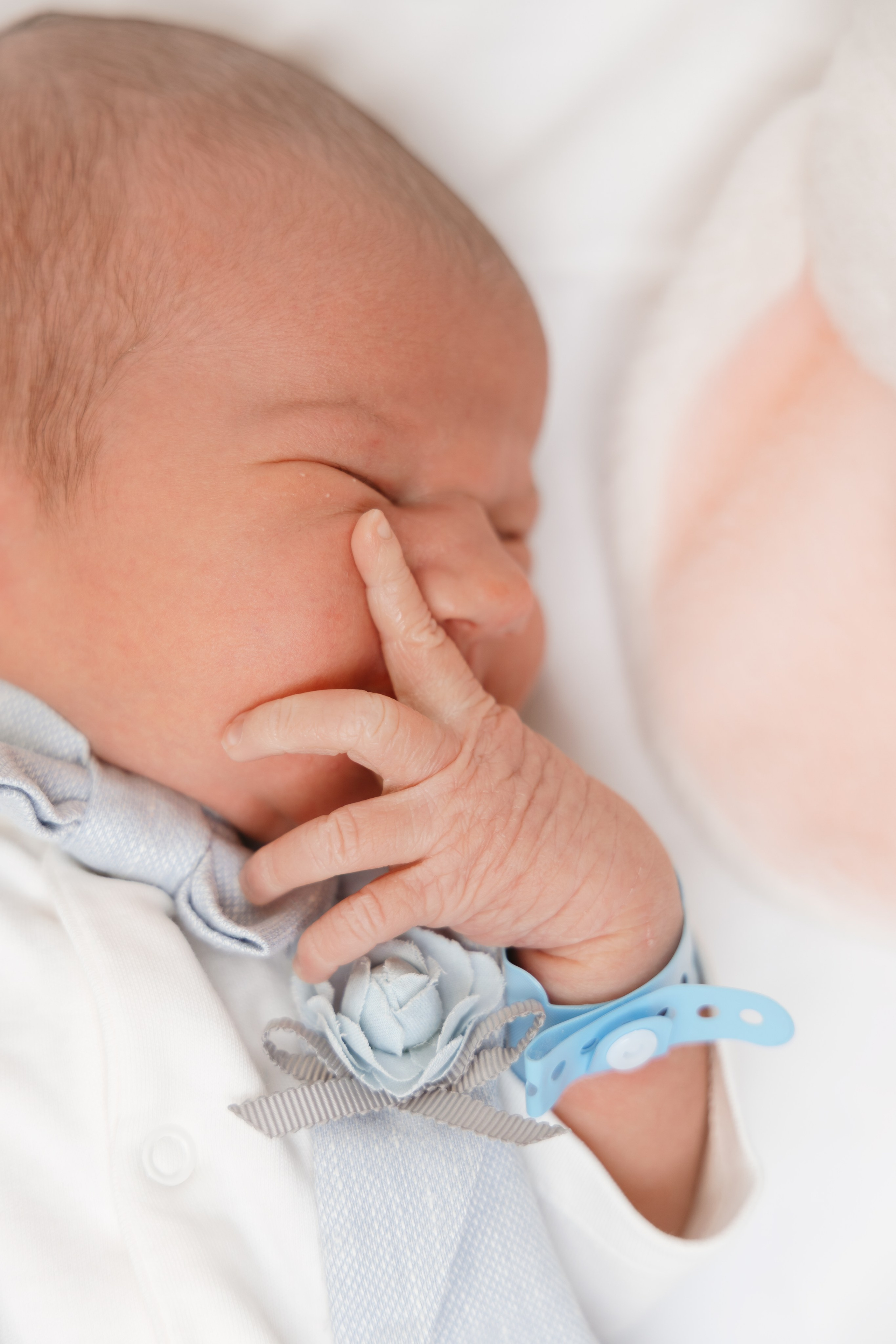 Выписка из роддома. Photomantis