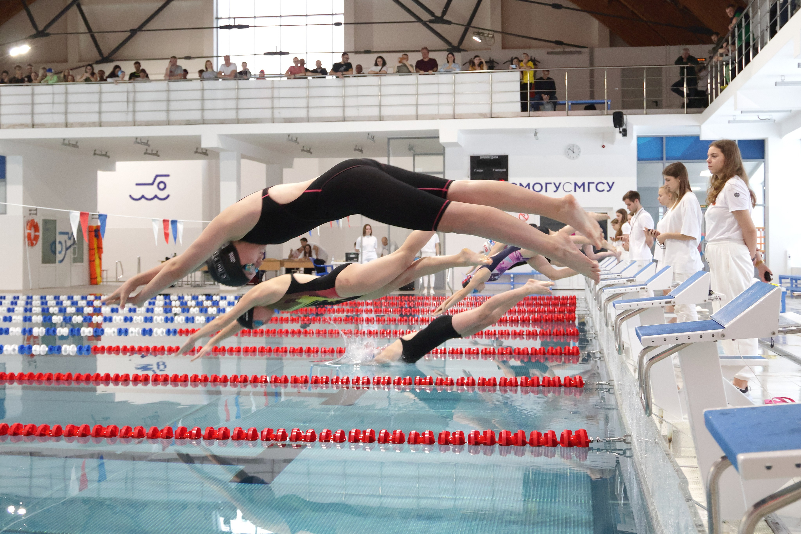 Плавание. Спортивный и репортажный фотограф Ермакова Светлана