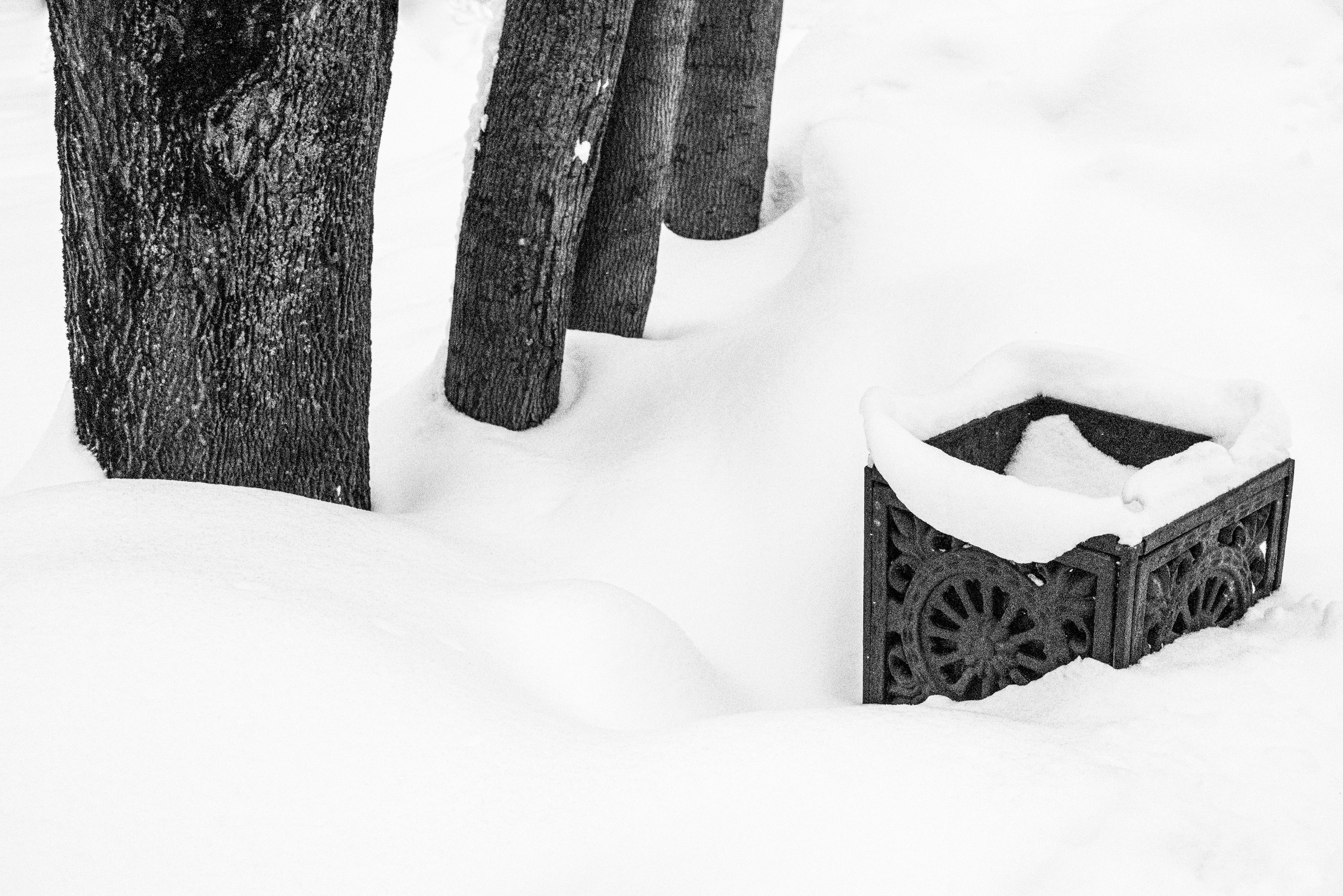 Снег в Москве. Портретный и архитектурный фотограф в Москве и Санкт-Петербурге