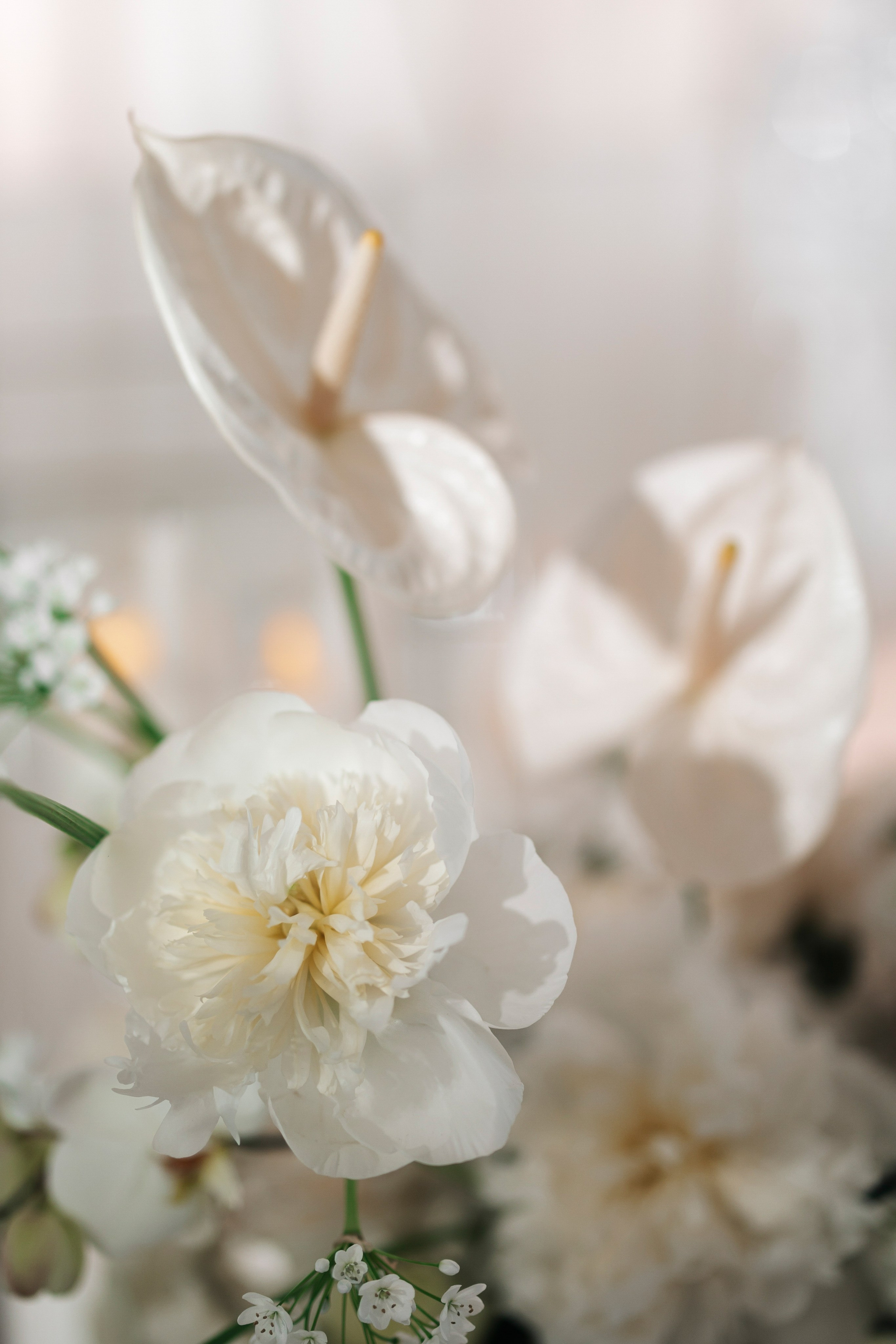 Лев и Кристина. Свадебный фотограф Москва Мотеюнайте Виктория