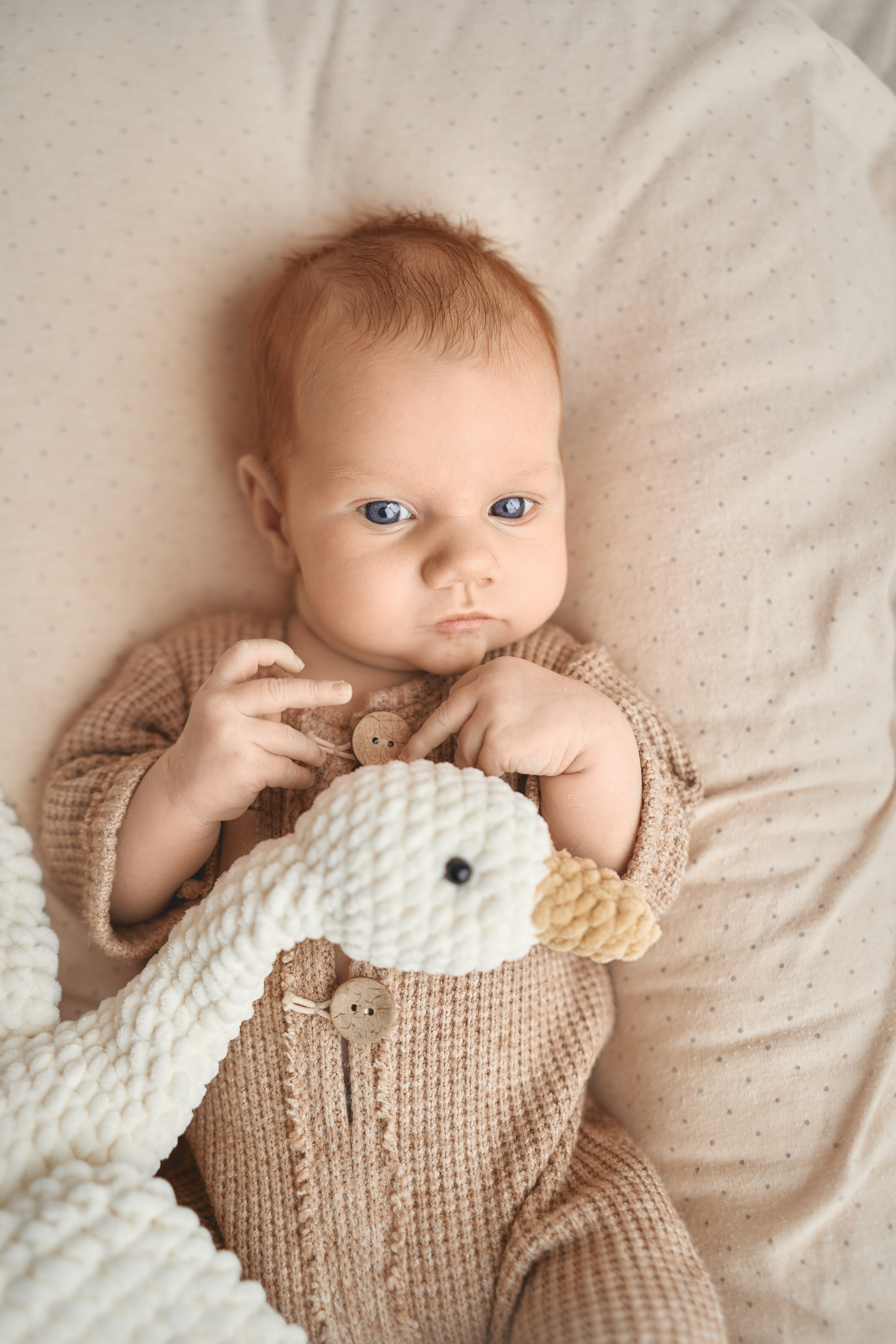 Ярослав. Фотограф новорожденных во Владивостоке Ромашко Виктория