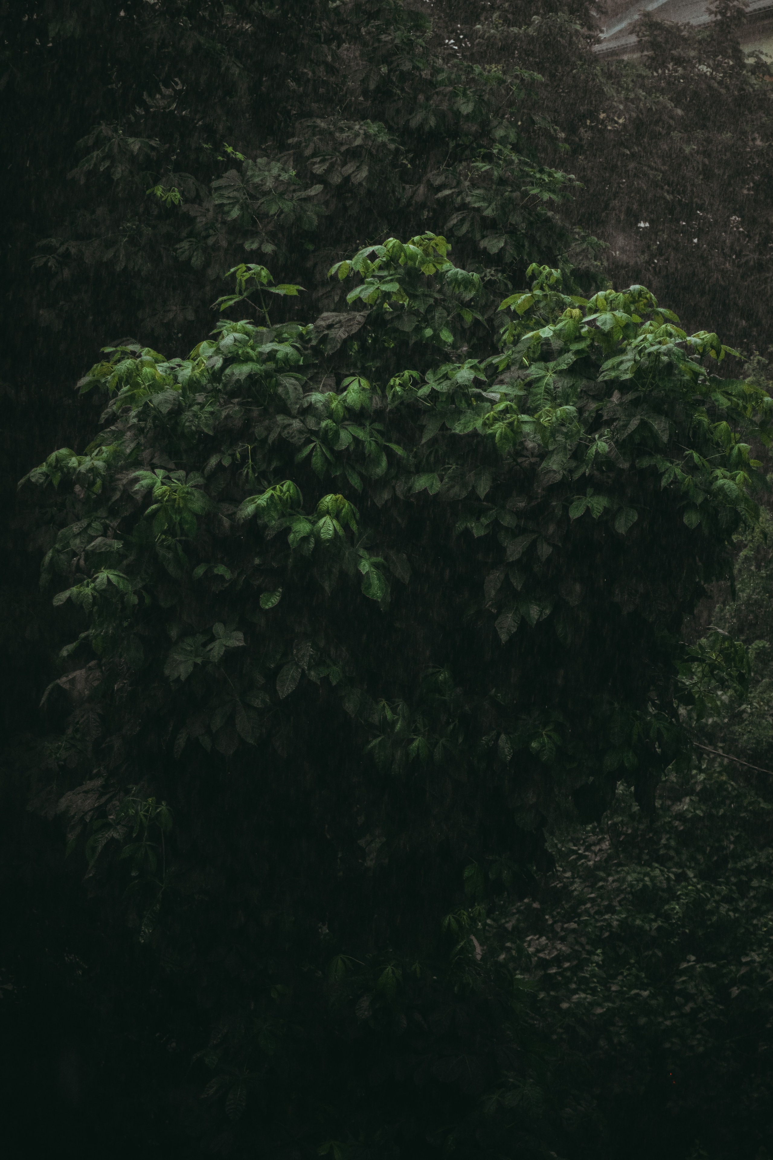 Т Е П Л Ы Й — З Е Л Е Н Ы Й. — Digital Noise —