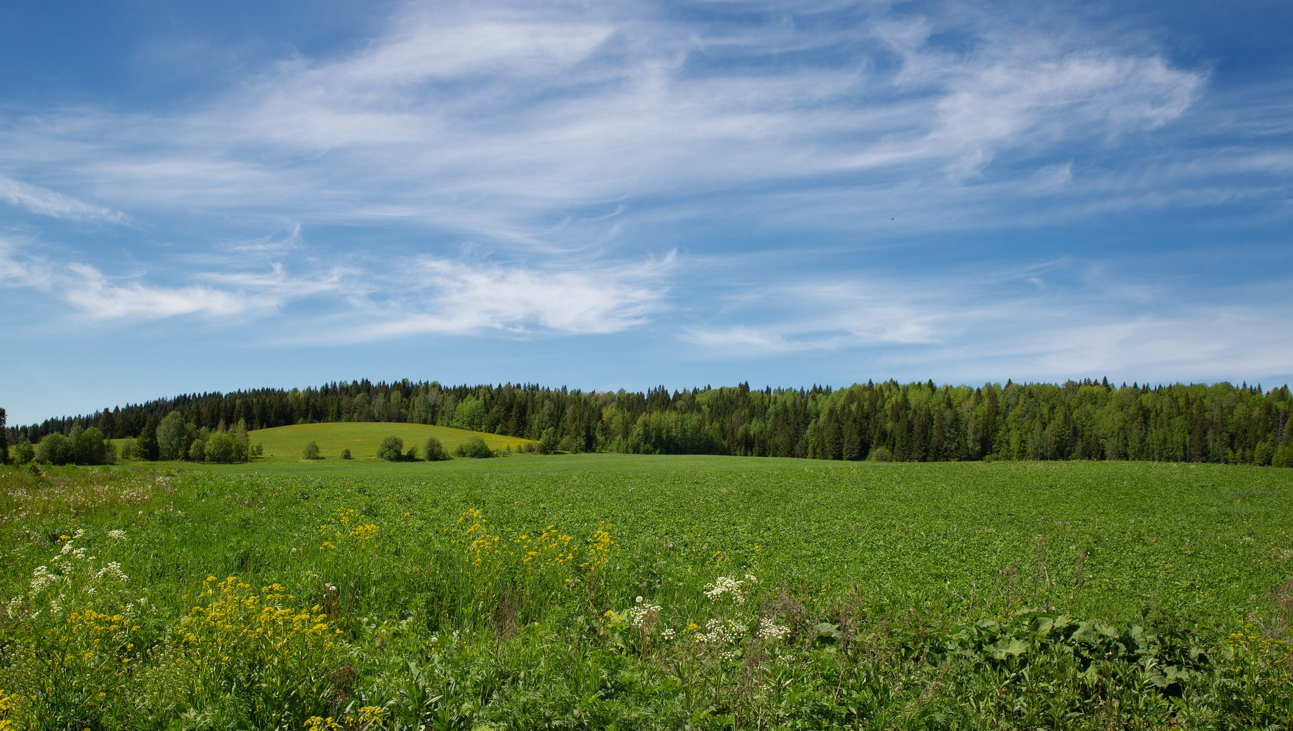 Пермь- Хохловка-Белогорье. Мой фотомир