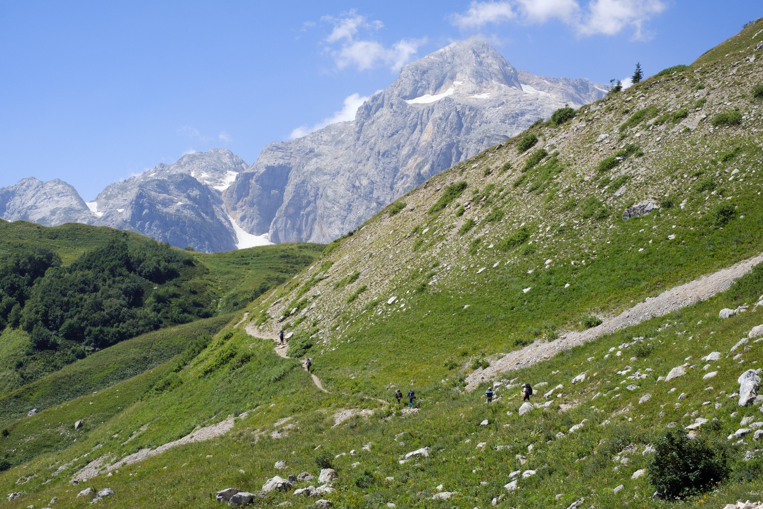 Тридцатка | август 2023