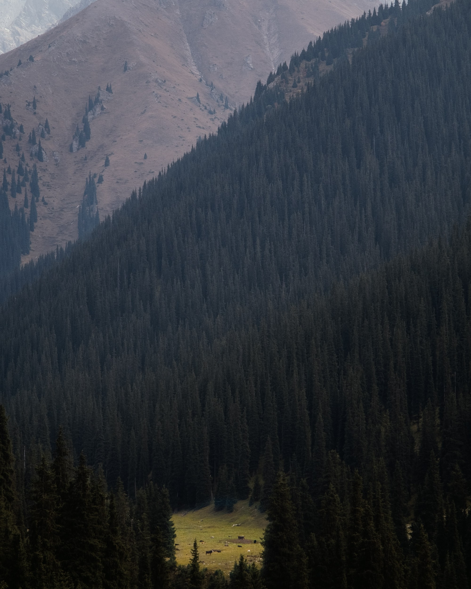 Кыргызстан. Фотограф Дмитрий Олрайт | Калуга, Россия