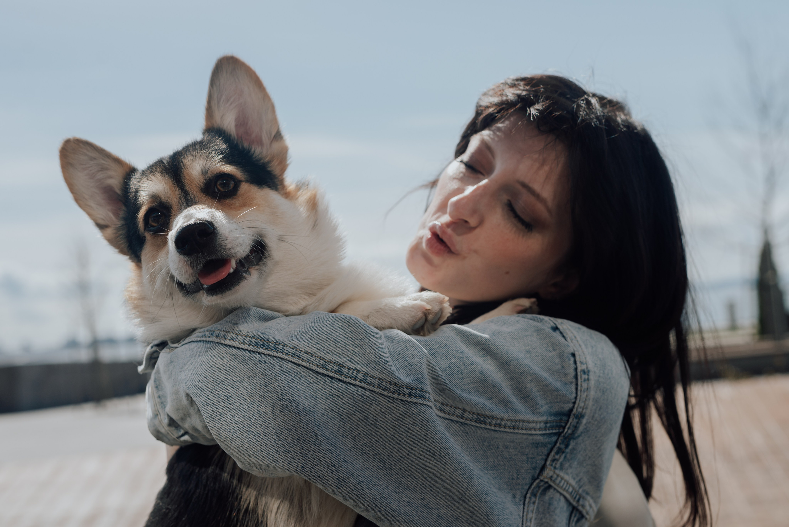 Фотодень с хаски. Фотограф в Санкт-Петербурге и Ленинградской области
