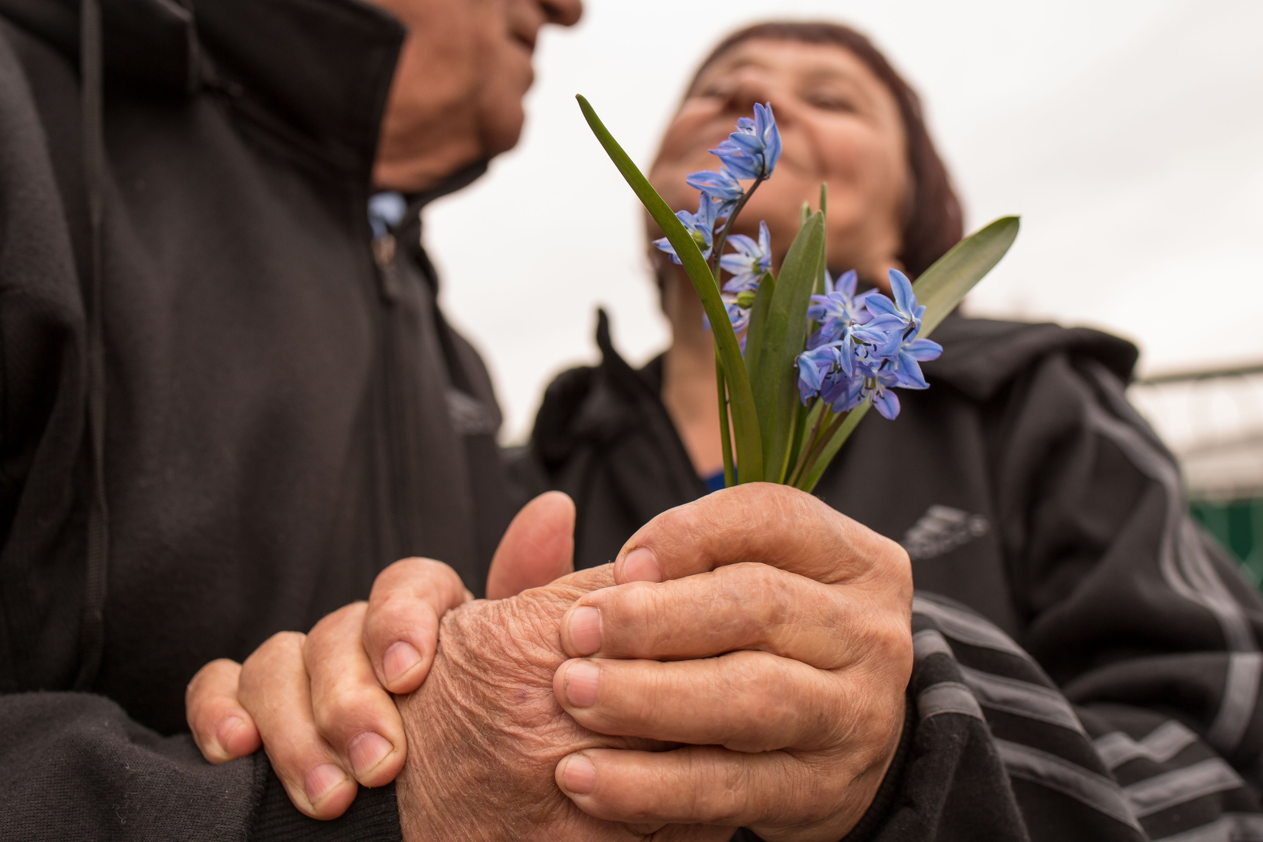СЕМЕЙНЫЕ ФОТОСЕССИИ. Творческая студия АЛНИфото