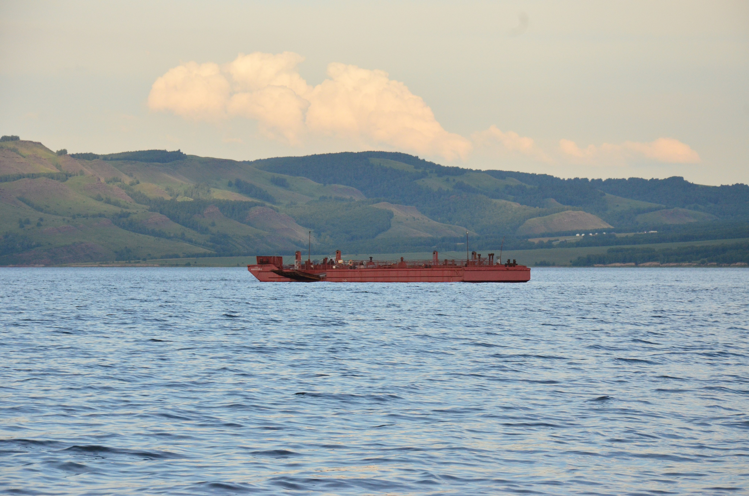 Дары природы. Фотограф viktor viktor