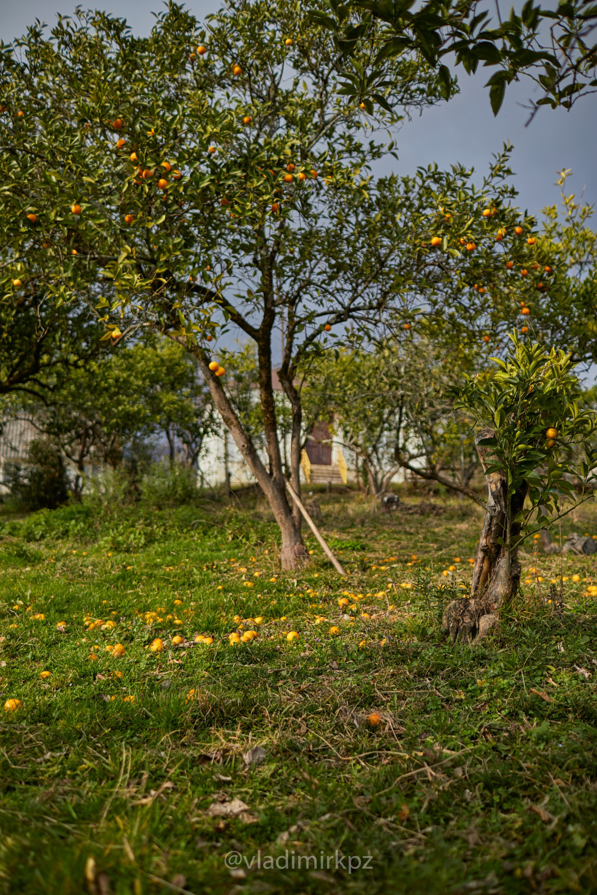 Пртретная фотосъемка в абхазии. Фотограф Абхазия