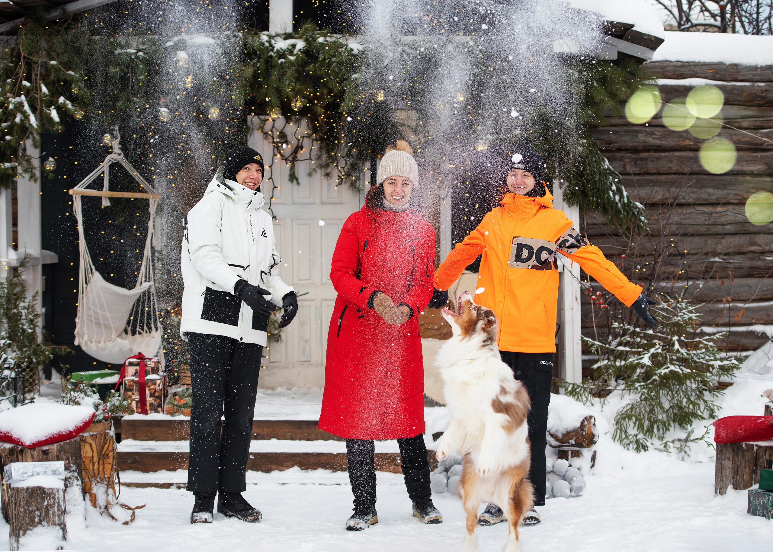 Аусси и его семья. Дог-фотограф в Тюмени Александра Королева